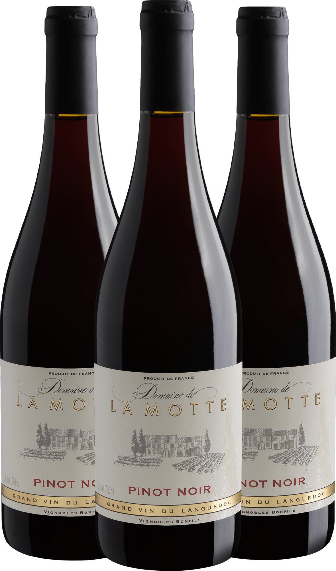Kit com 3 Domaine de La Motte Pinot Noir