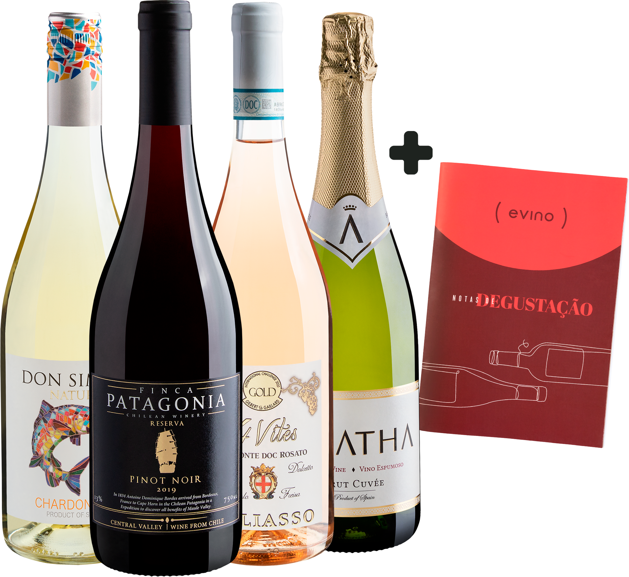 Kit Curso de Férias + Caderno de Degustação