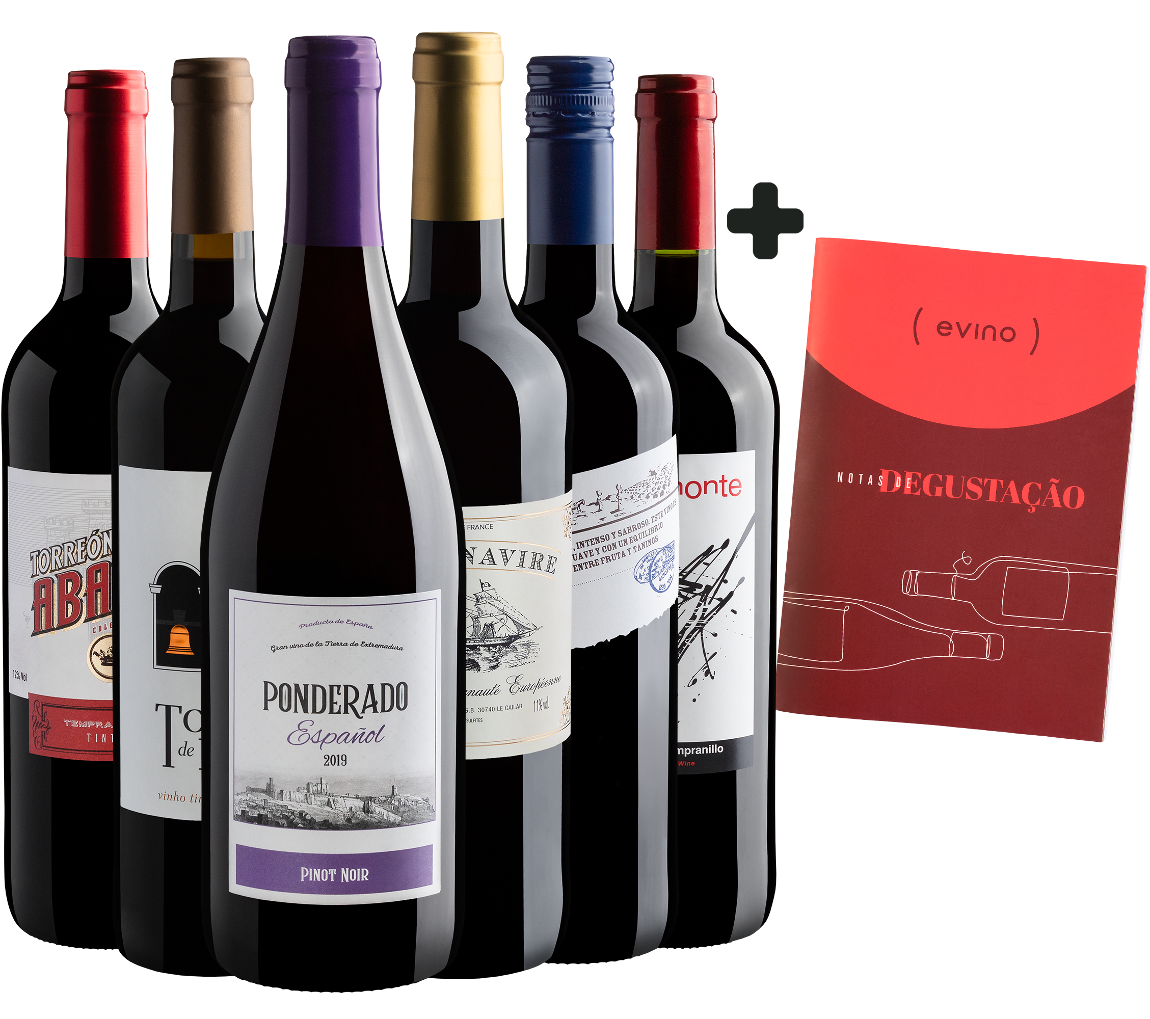 Kit 6 por R$219,90 + Caderno de Degustação