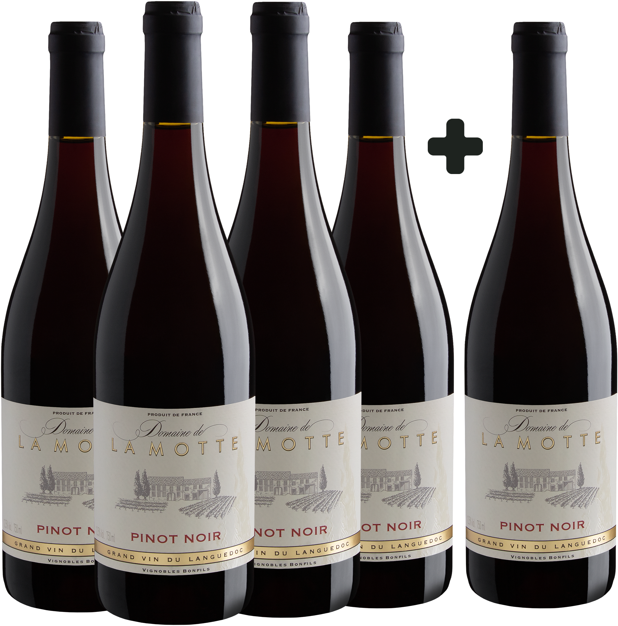 Domaine de La Motte Pinot Noir Leve 5 Pague 4