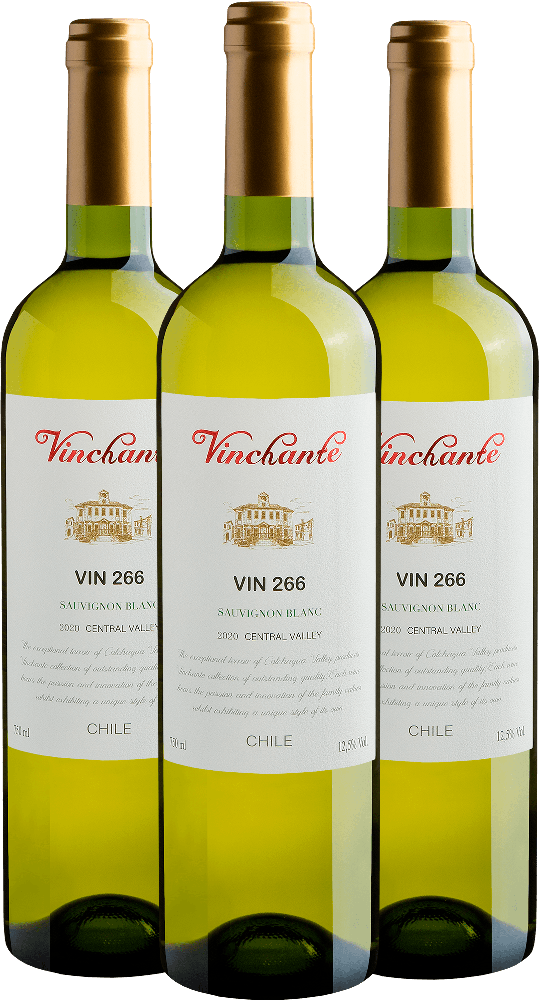 Kit Vinchante Sauvignon Blanc 2020