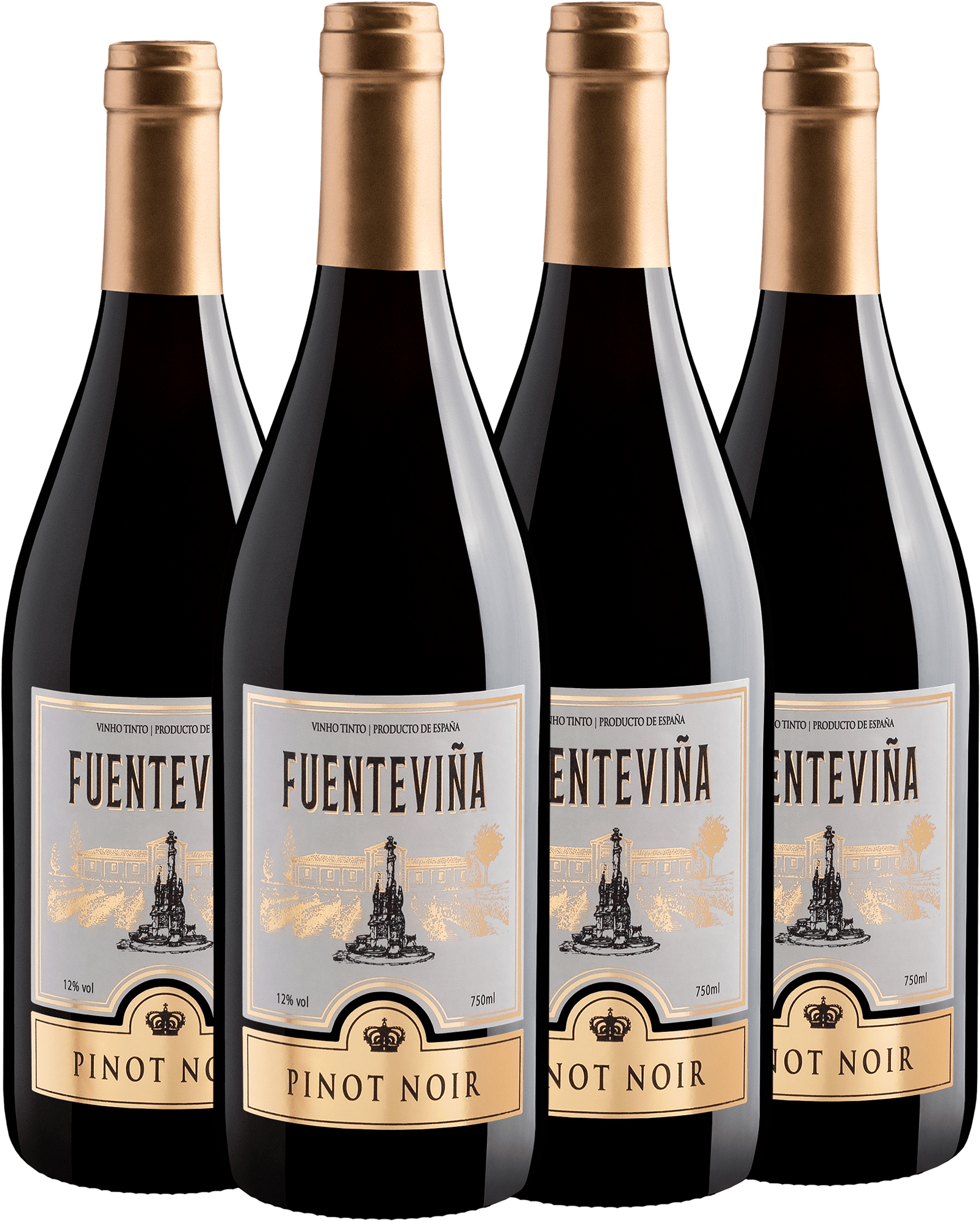 Kit 4 Fuenteviña Pinot Noir