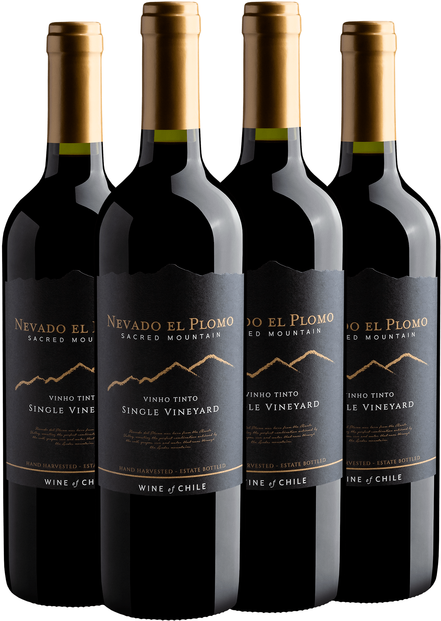Kit 4 Nevado El Plomo Sacred Mountain Single Vineyard Tinto
