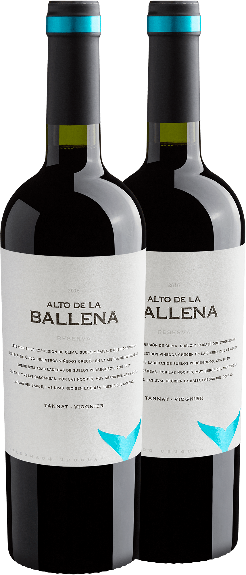 Kit 2 Alto De La Ballena Reserva Tannat-Viognier por R$229,90 cada garrafa