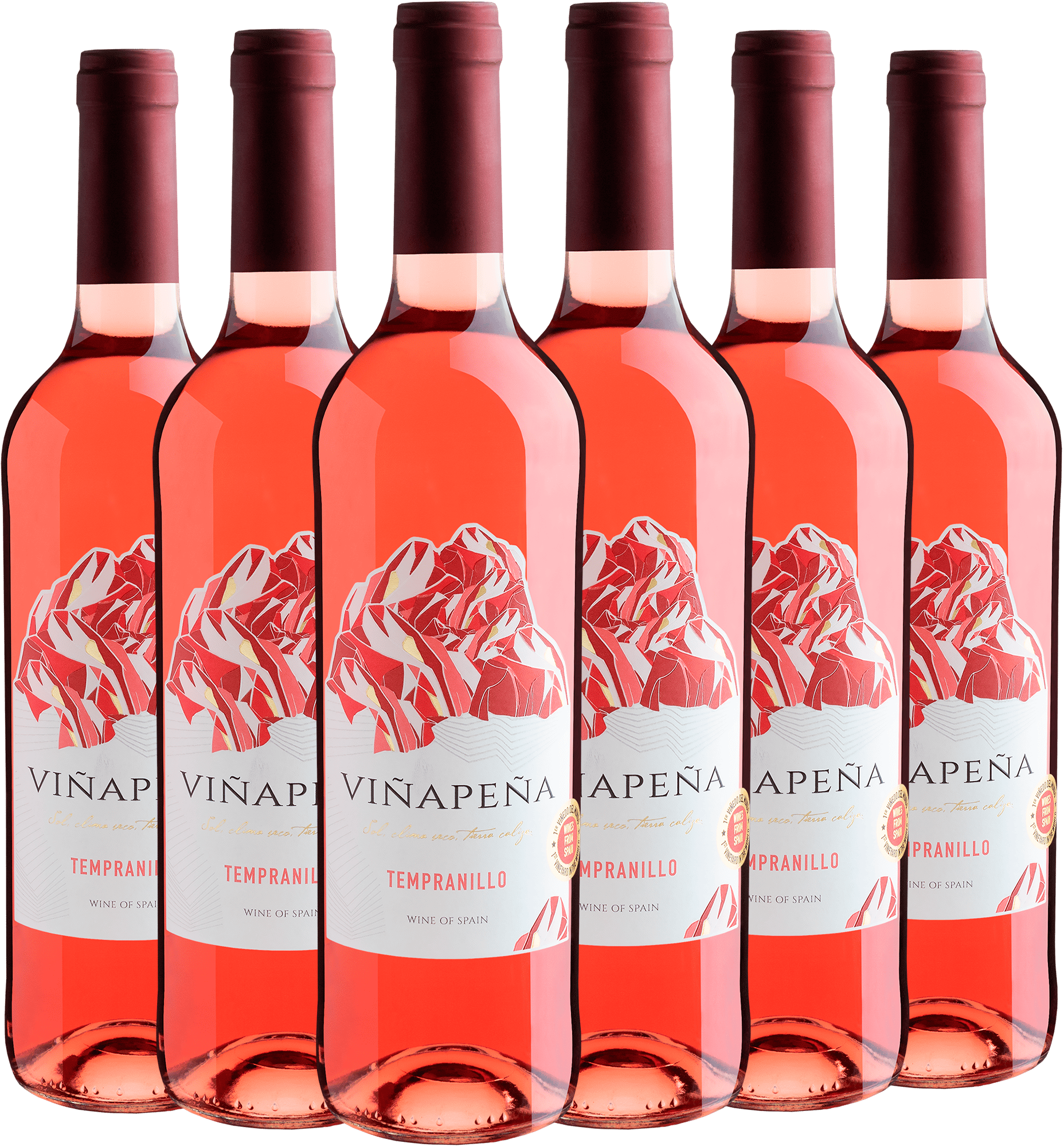 Kit 6 Viñapeña Tempranillo Rosé
