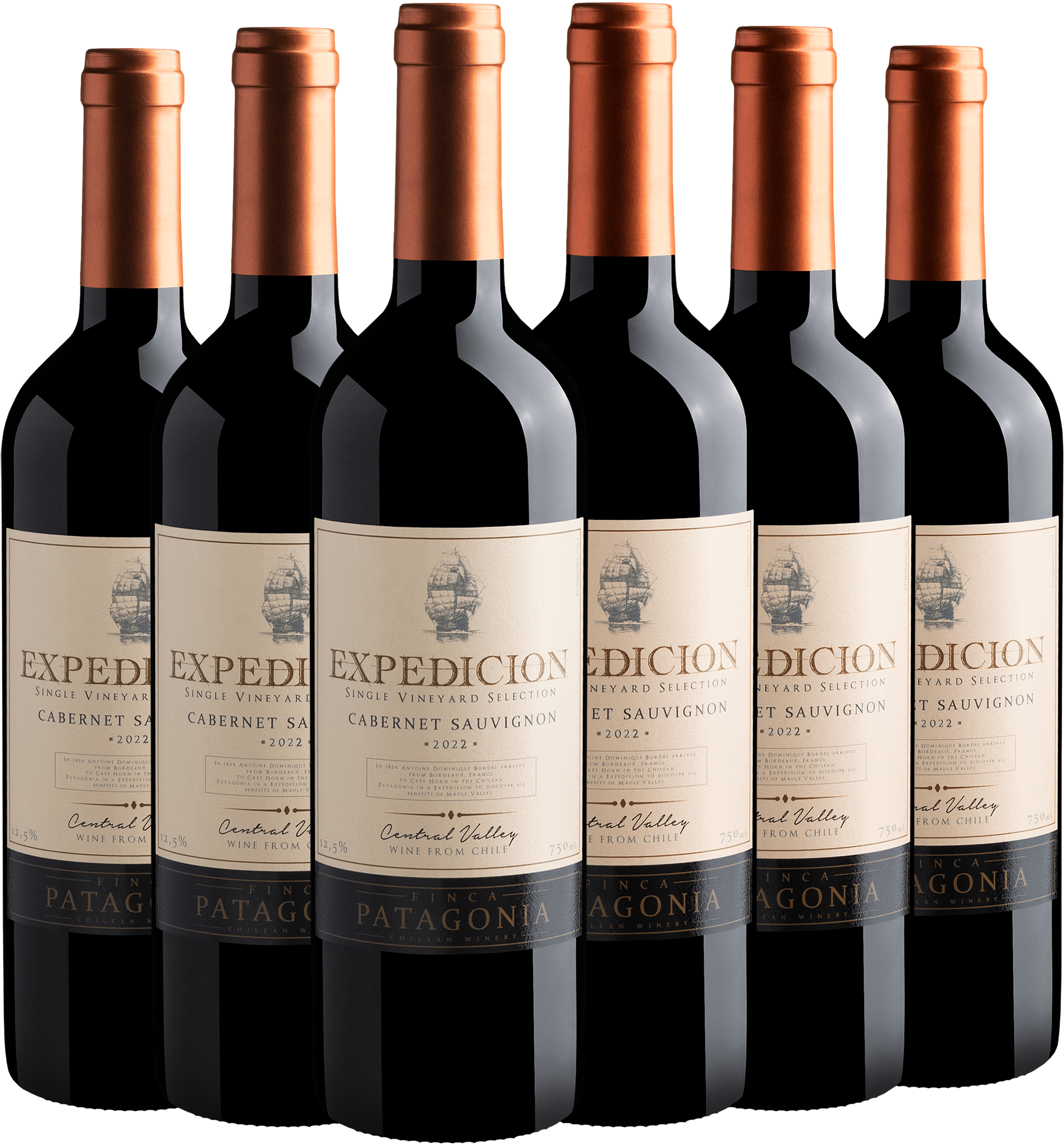 Kit 6 Expedicion Single Vineyard Selection Cabernet Sauvignon por R$25,90 cada garrafa