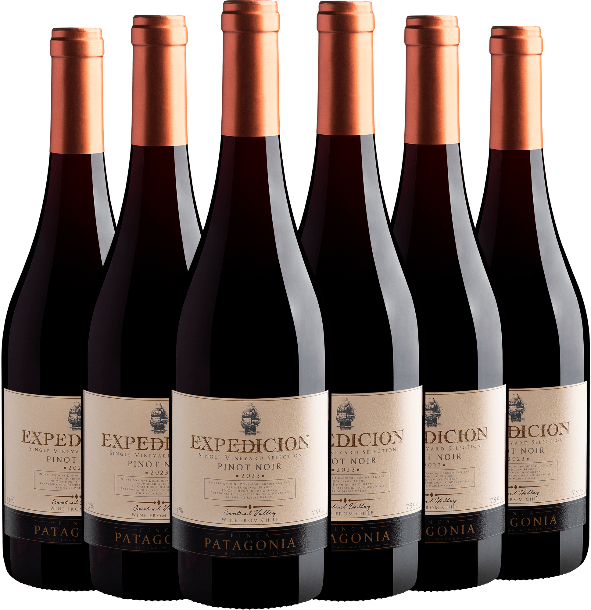 Kit 6 Expedicion Single Vineyard Selection Pinot Noir Central Valley D.O. por R$34,90 cada garrafa