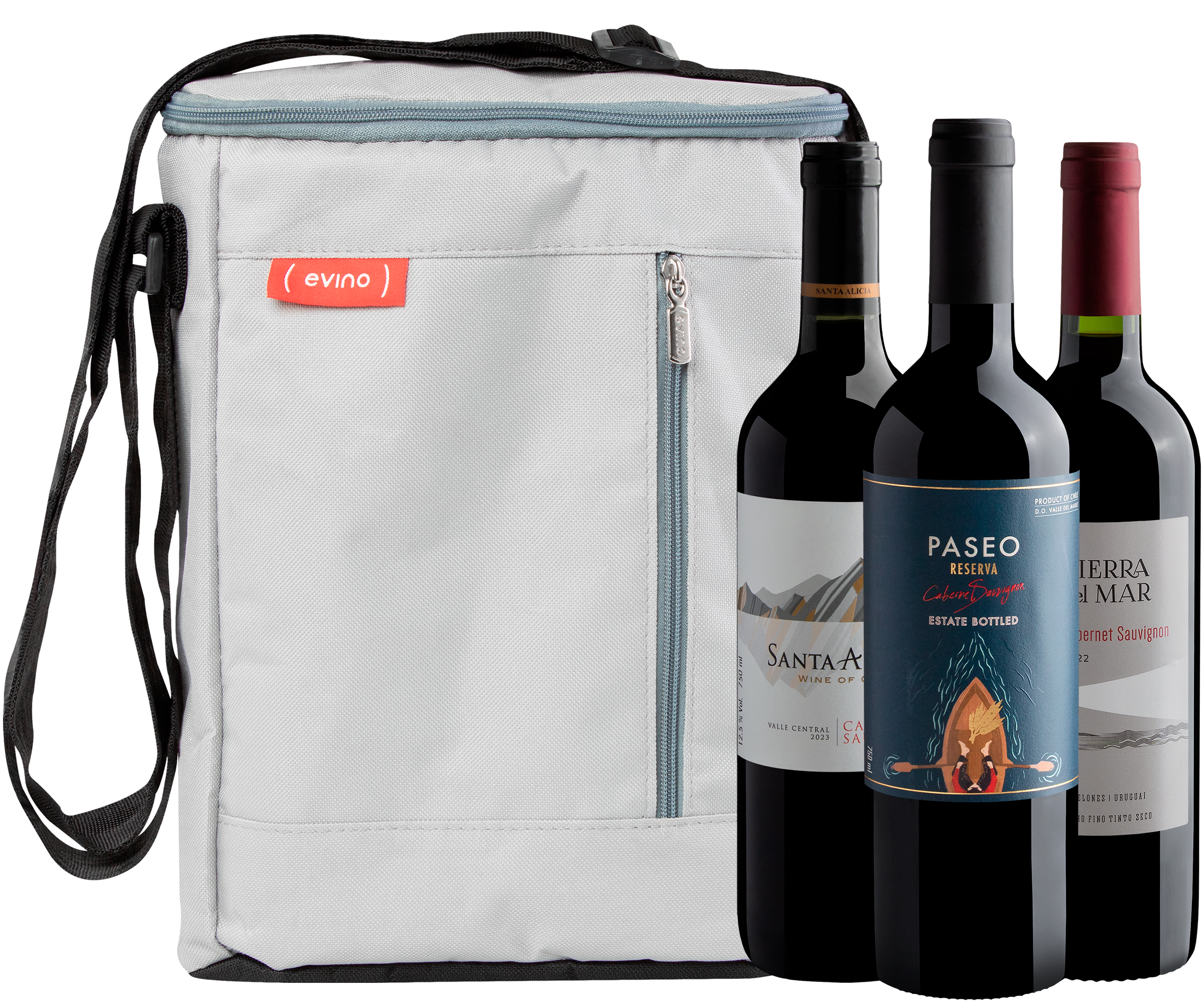 Kit 3 Cabernets Sauvignons Best Sellers + Bolsa Térmica