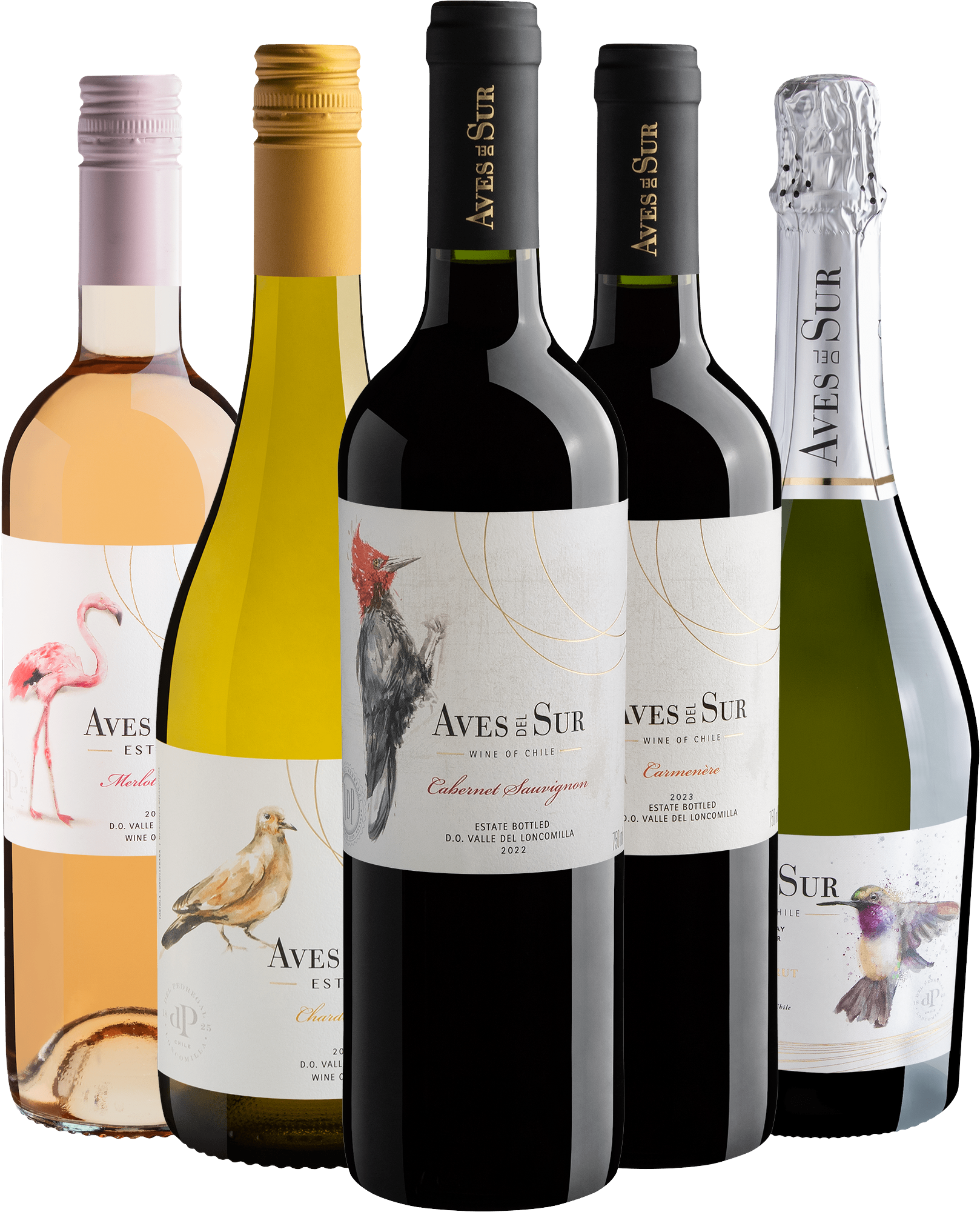 Kit Linha Aves del Sur