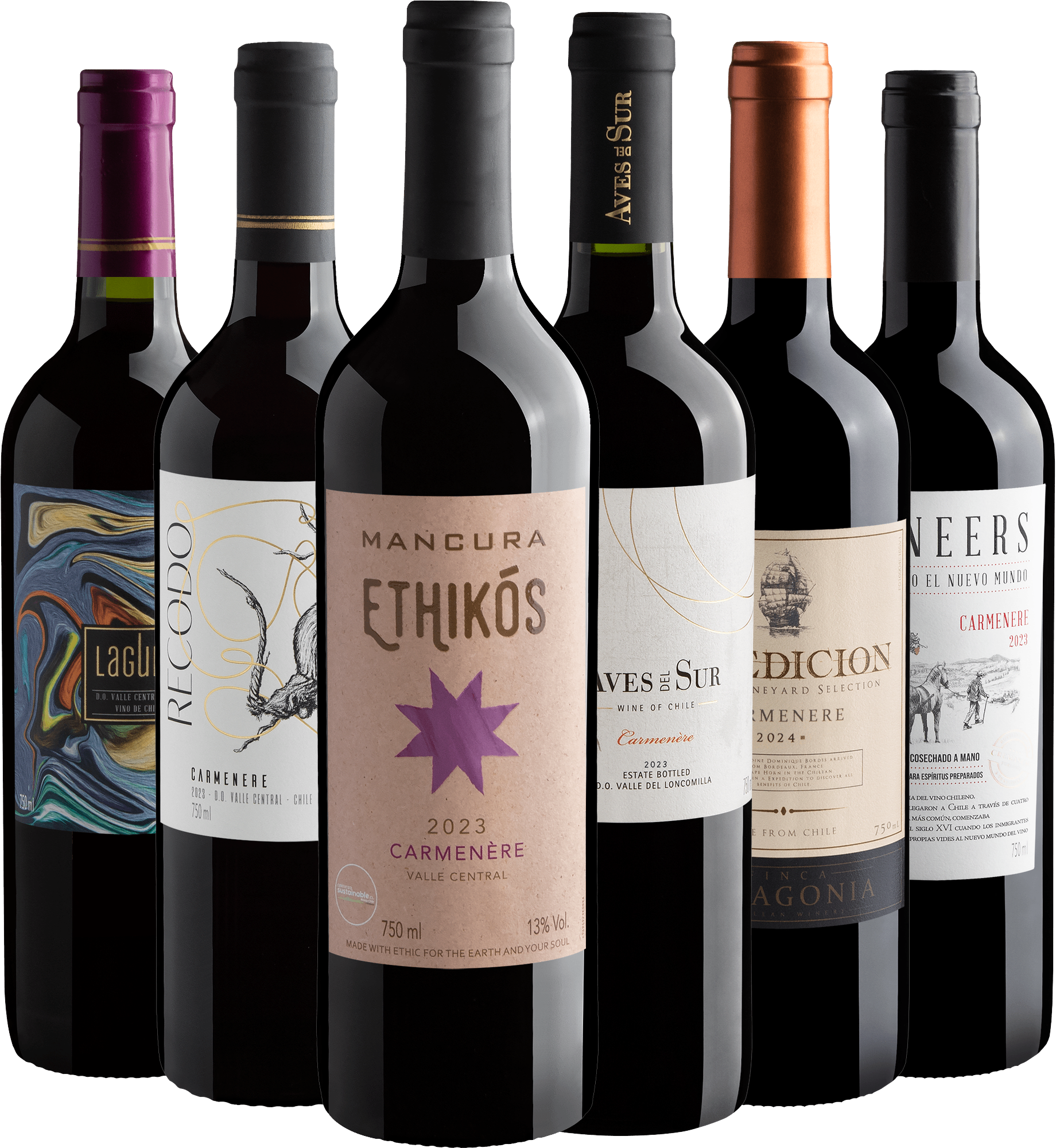 Kit 6 Carménères Chilenos por R$29,90 cada garrafa