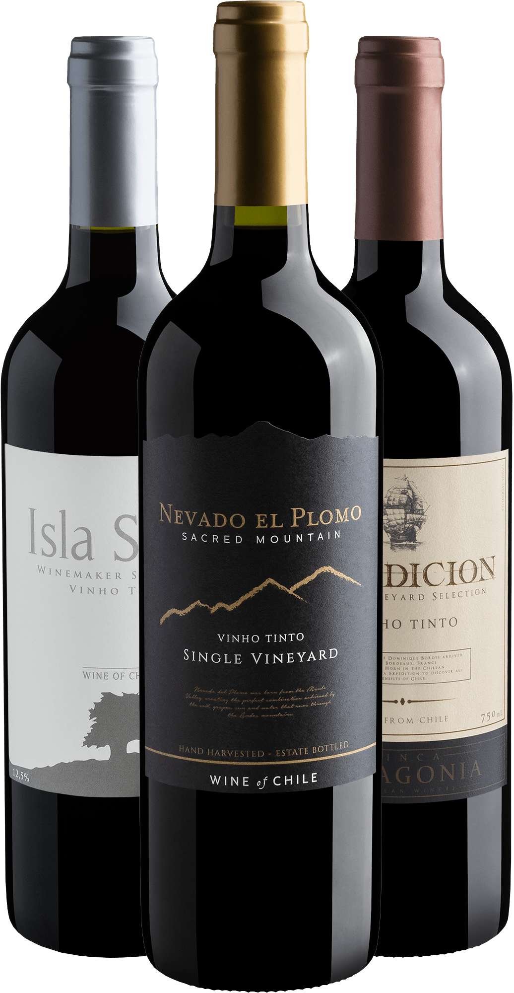 Kit 3 Vinhos Chilenos por R$21,90 cada garrafa*