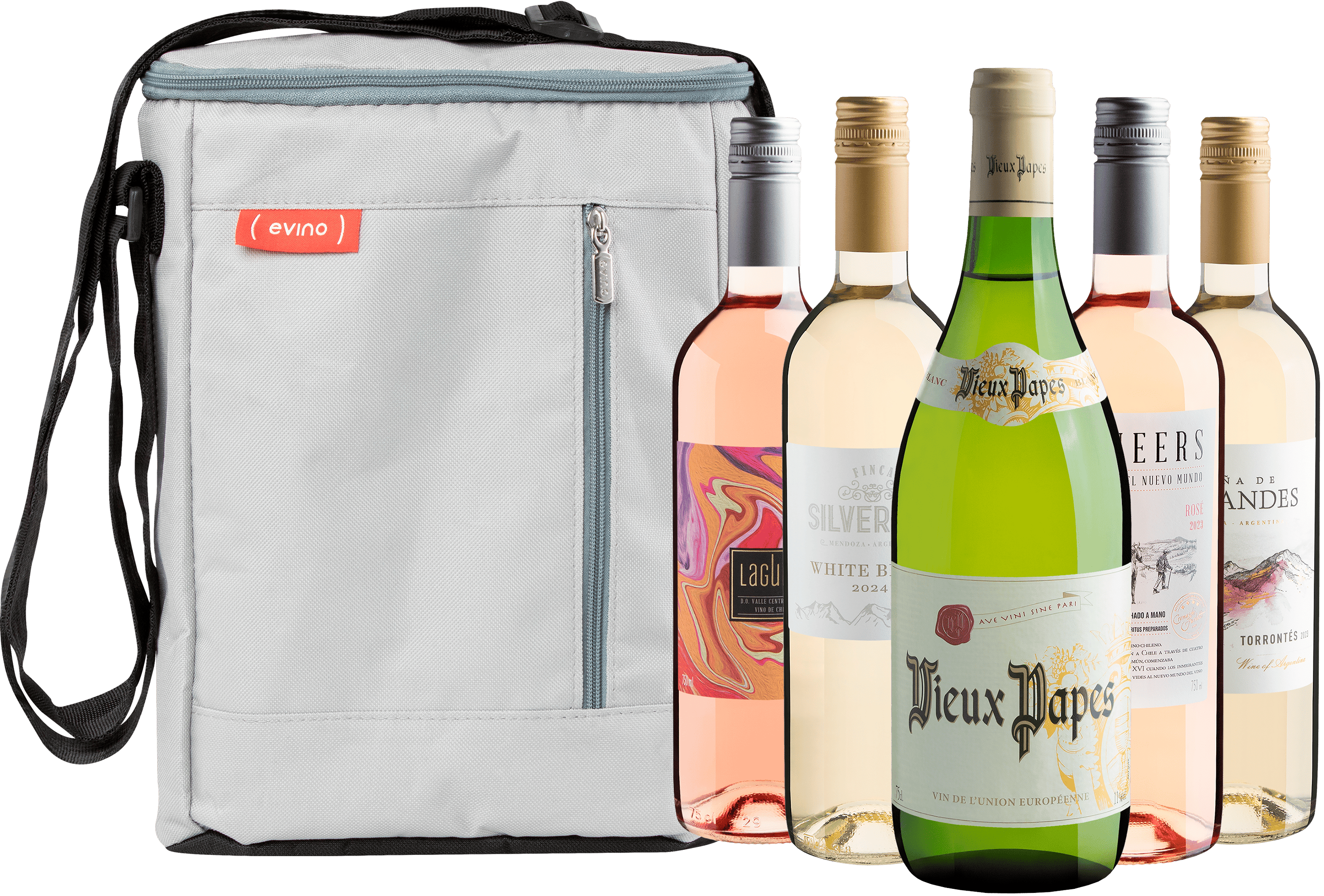 Kit 5 Vinhos Refrescantes + Bolsa Exclusiva