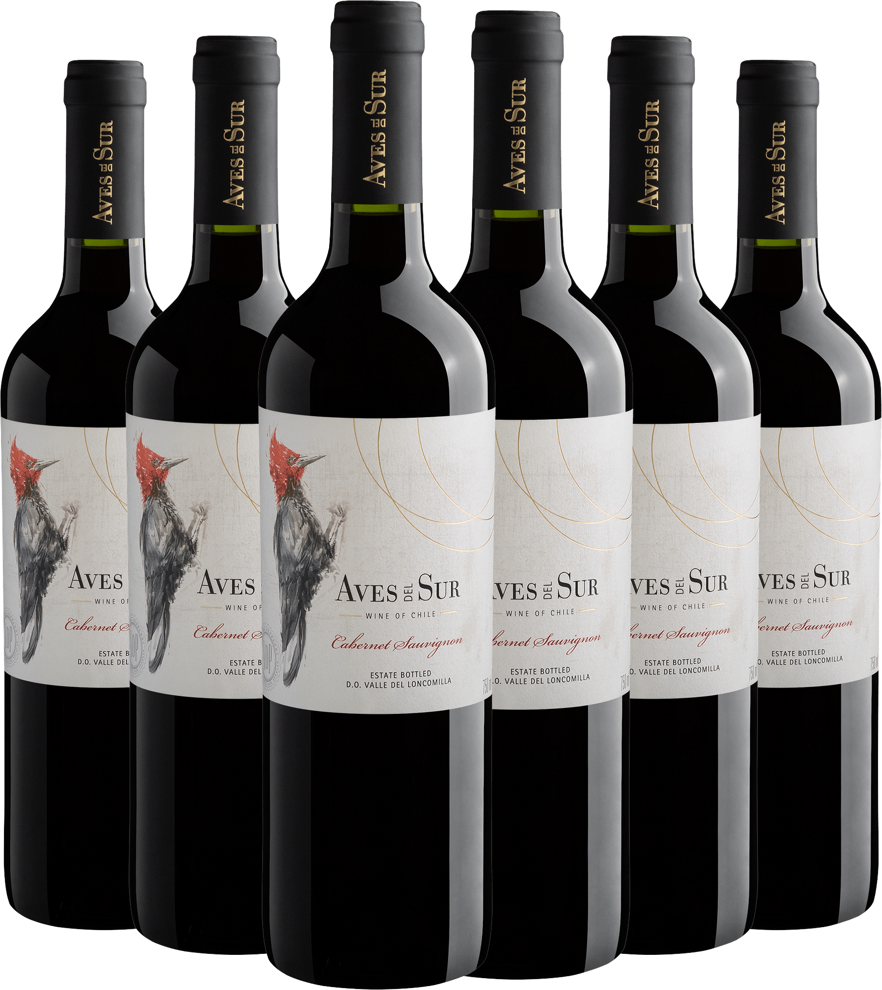 Kit 6 Aves Del Sur Cabernet Sauvignon Valle del Loncomilla D.O. por R$29,90 cada garrafa + Frete Grátis*