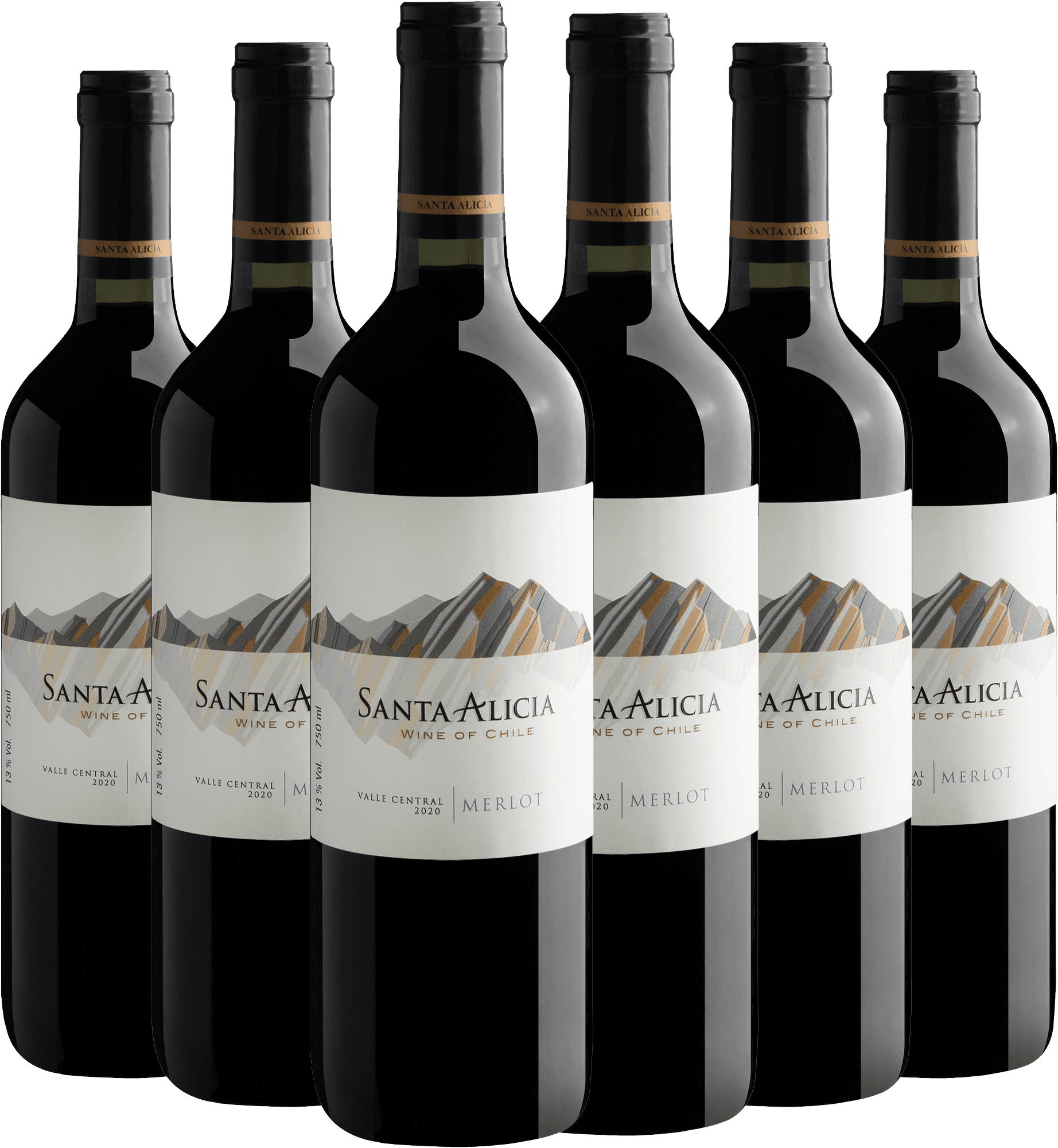 Kit 6 Santa Alicia Merlot Valle Central por R$62,90 cada garrafa