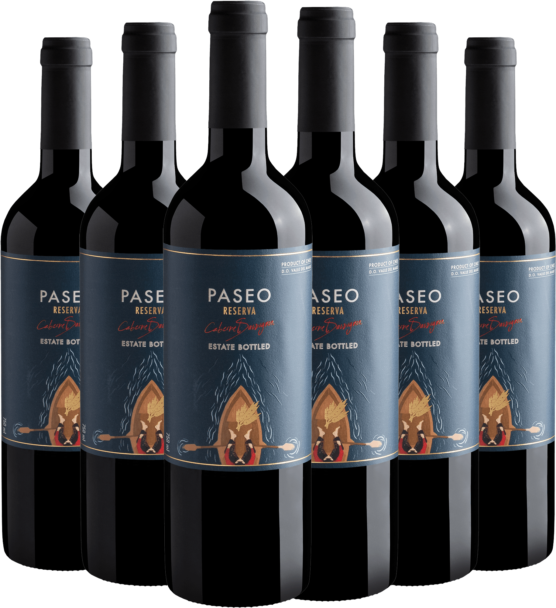 Kit 6 Paseo Reserva Cabernet Sauvignon Valle del Maule D.O. por R$34,90 cada garrafa