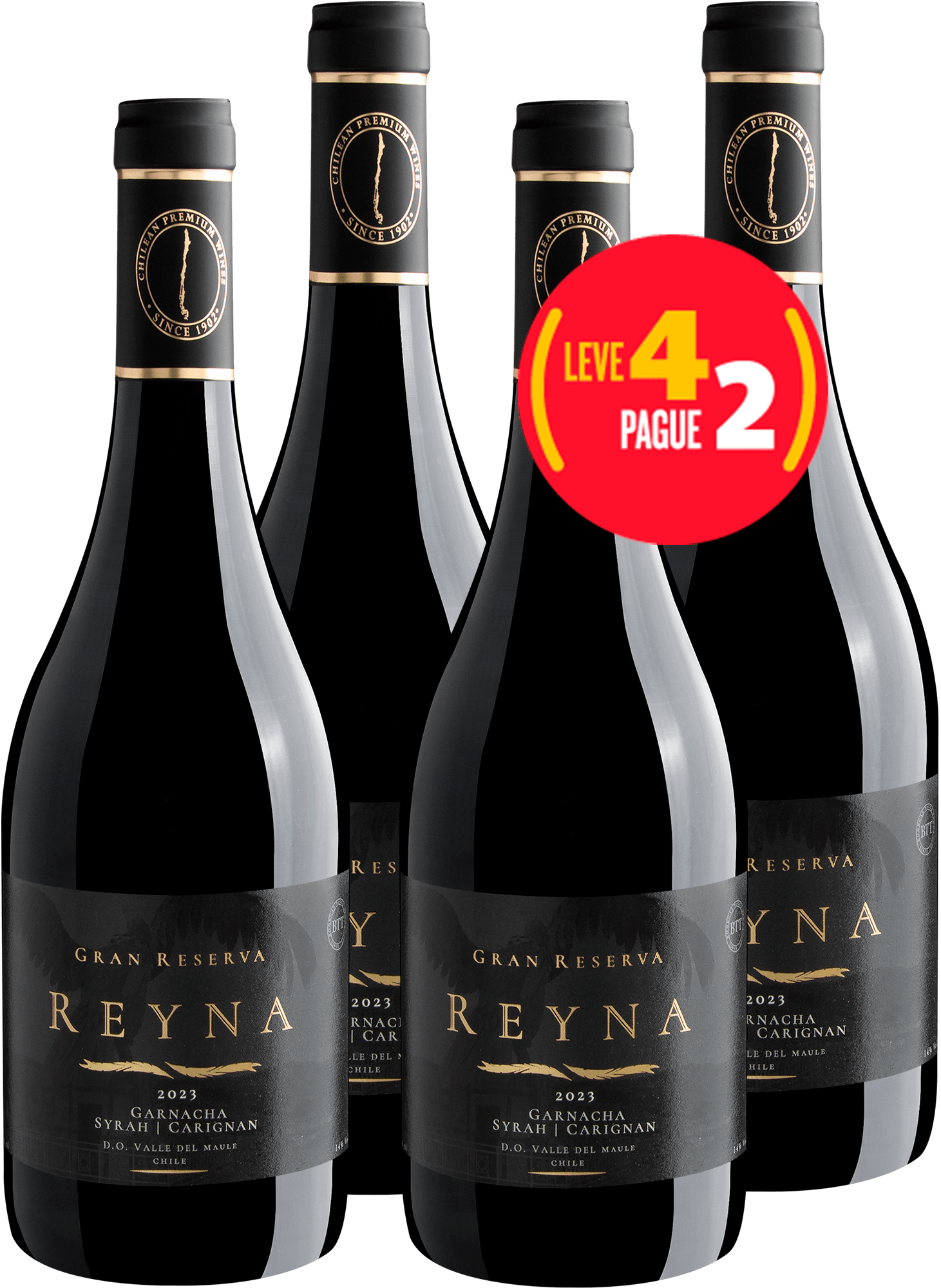 Kit Leve 4 Pague 2 Reyna Gran Reserva Garnacha - Syrah - Carignan Valle del Maule D.O.
