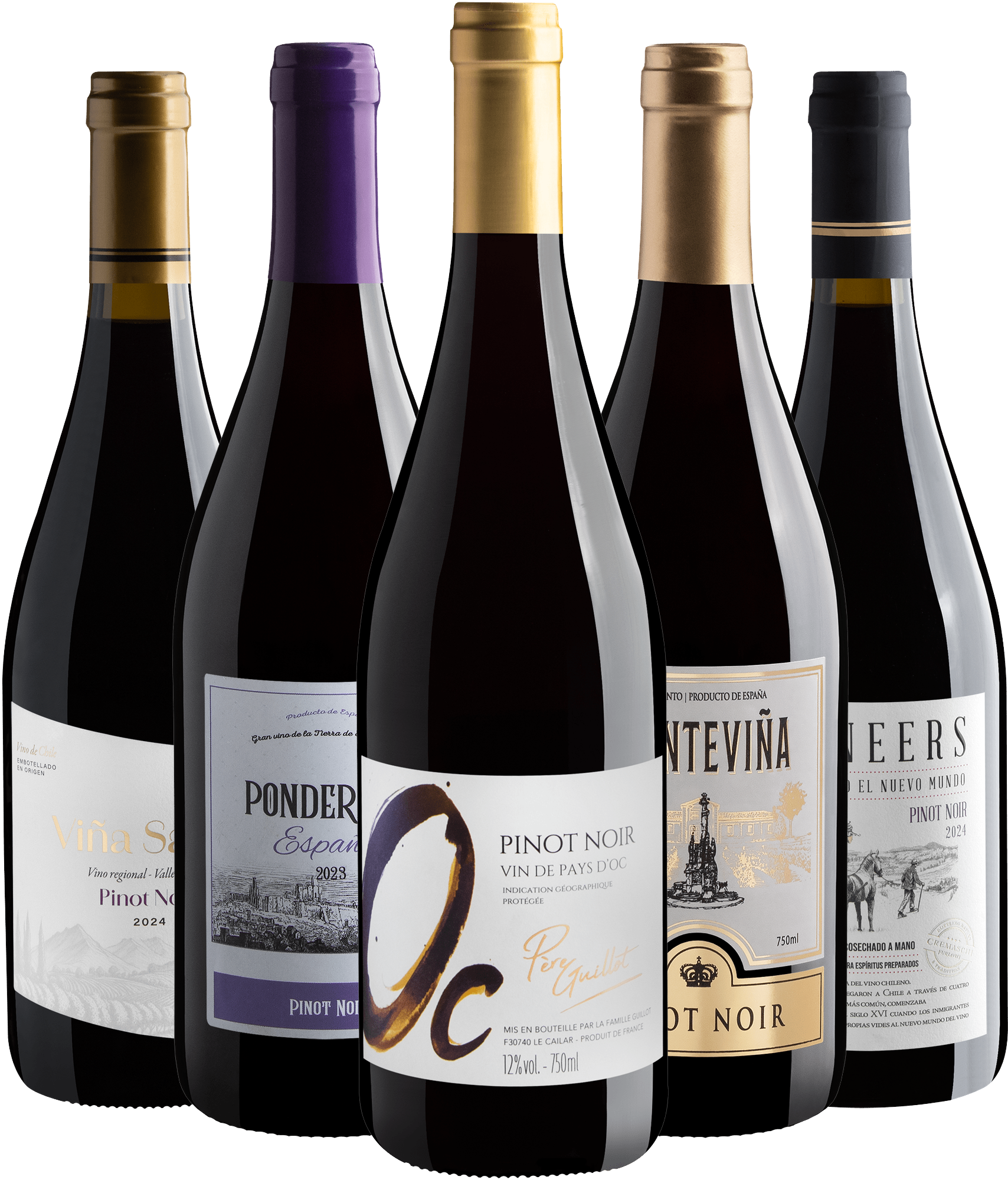 Kit 5 Pinots Noirs por R$169,90