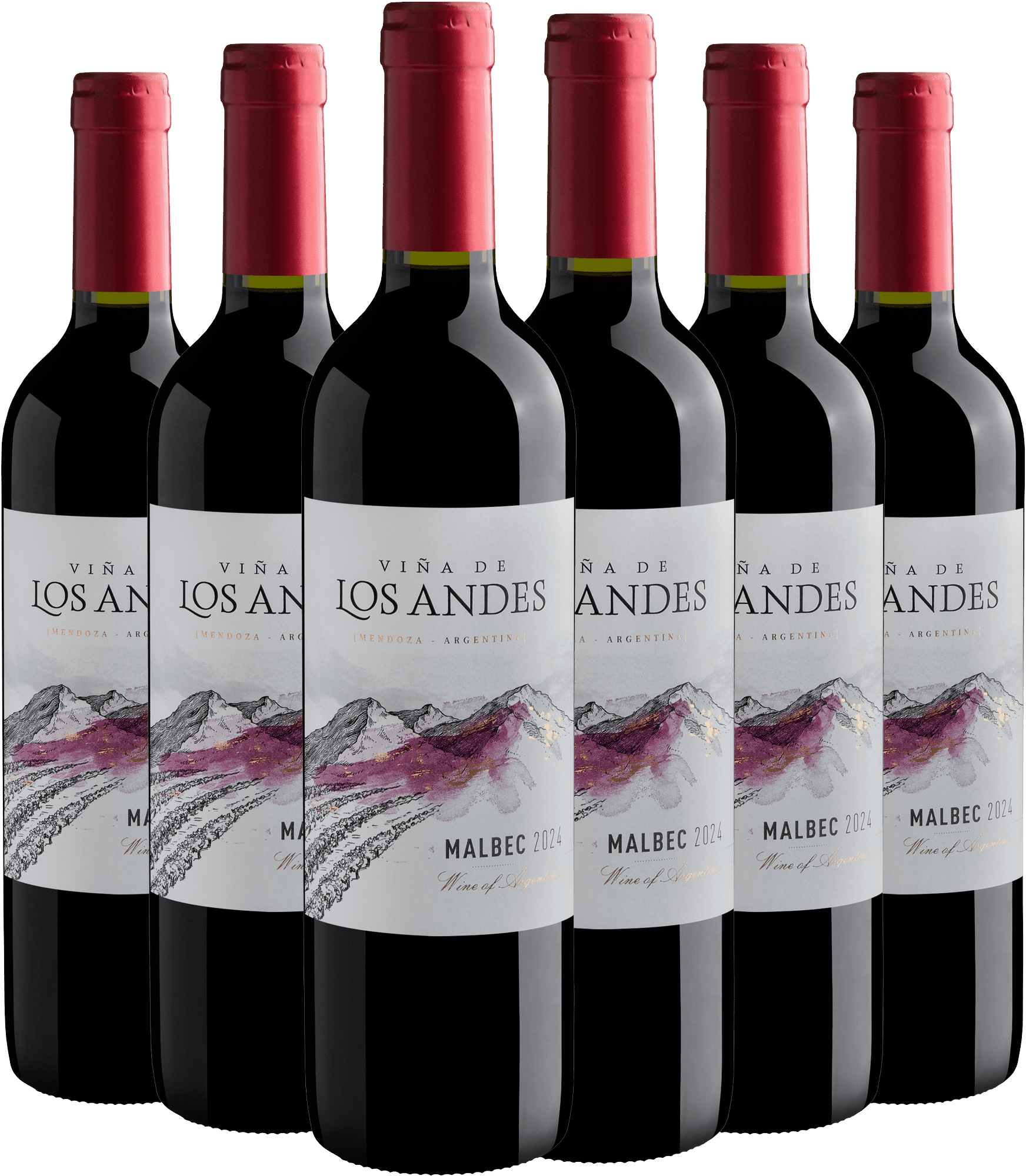 Kit 6 Viña de Los Andes Malbec