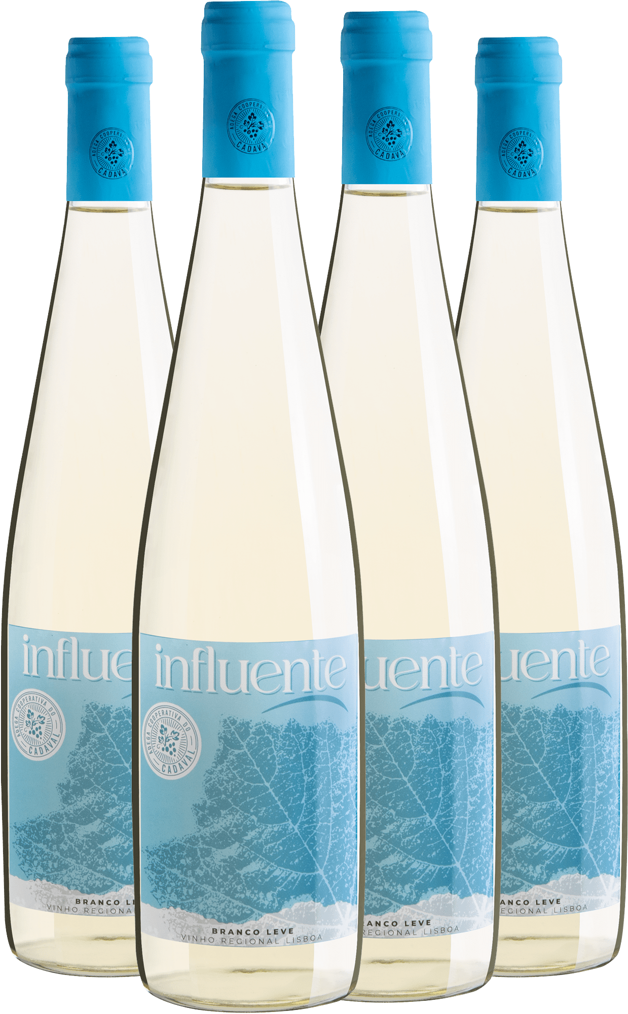 Kit 4 Influente Branco Vinho Regional Lisboa