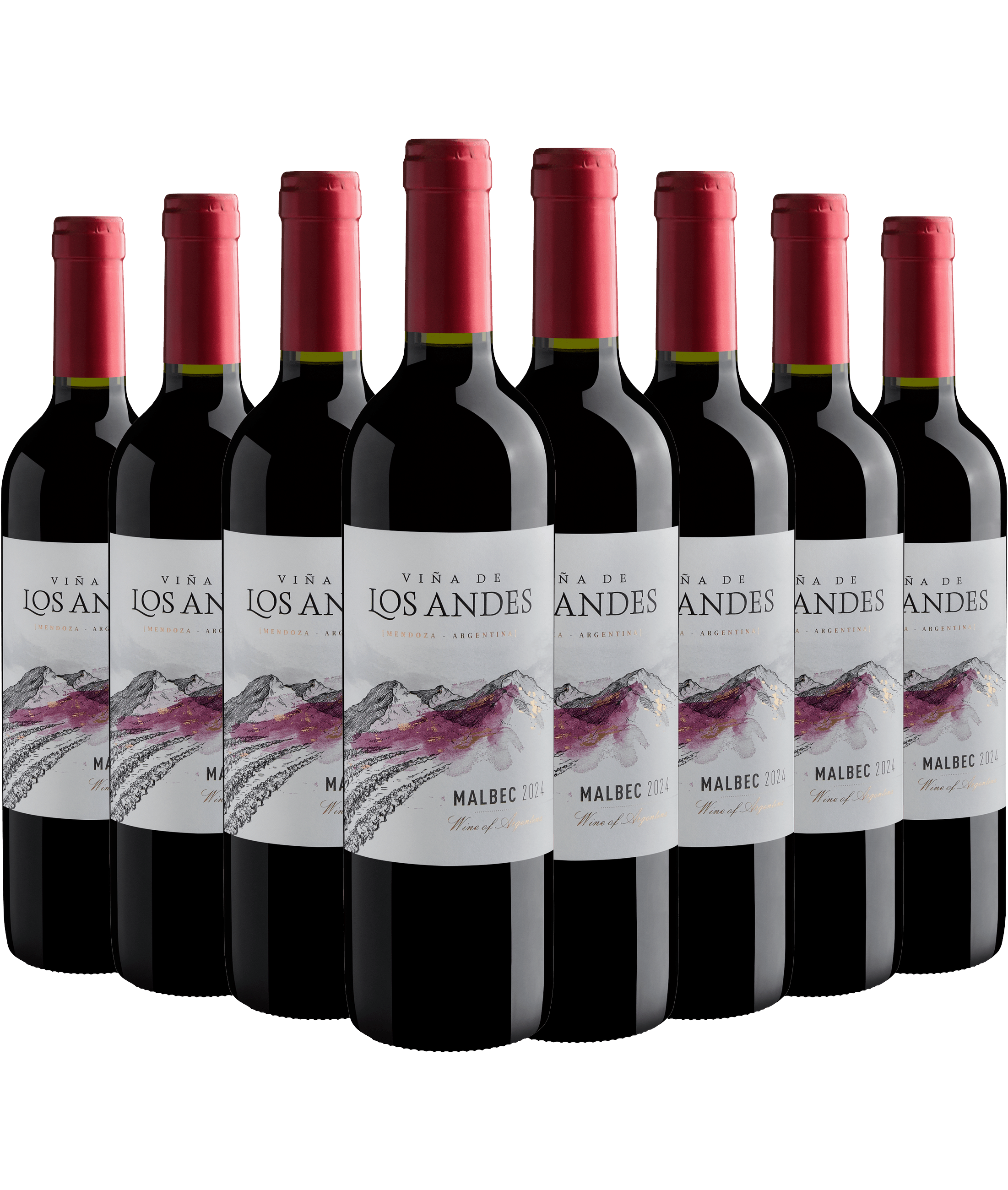 Kit 8 Viña de Los Andes Malbec*