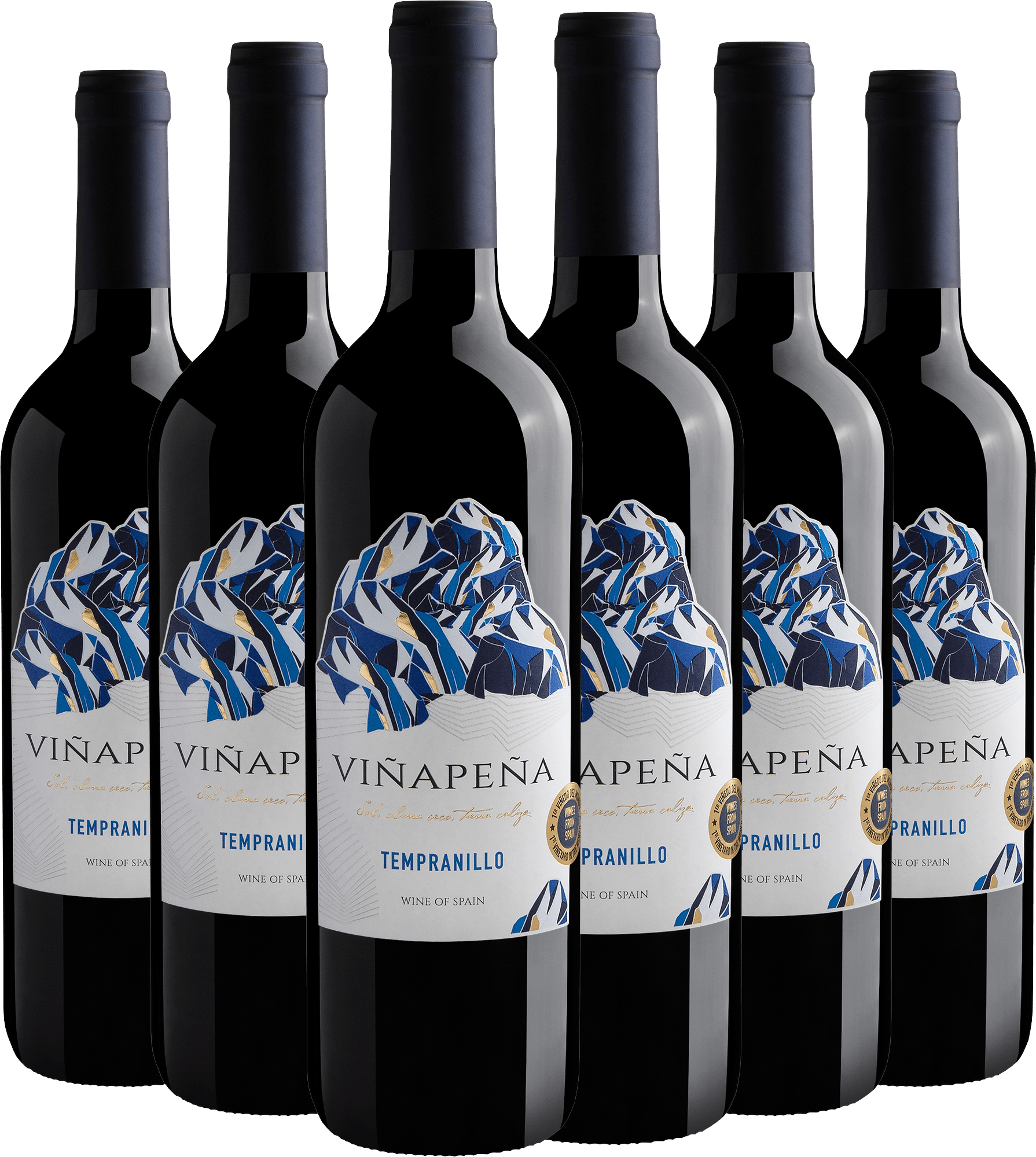 Kit 6 Viñapeña Tempranillo por R$27,90 cada garrafa*