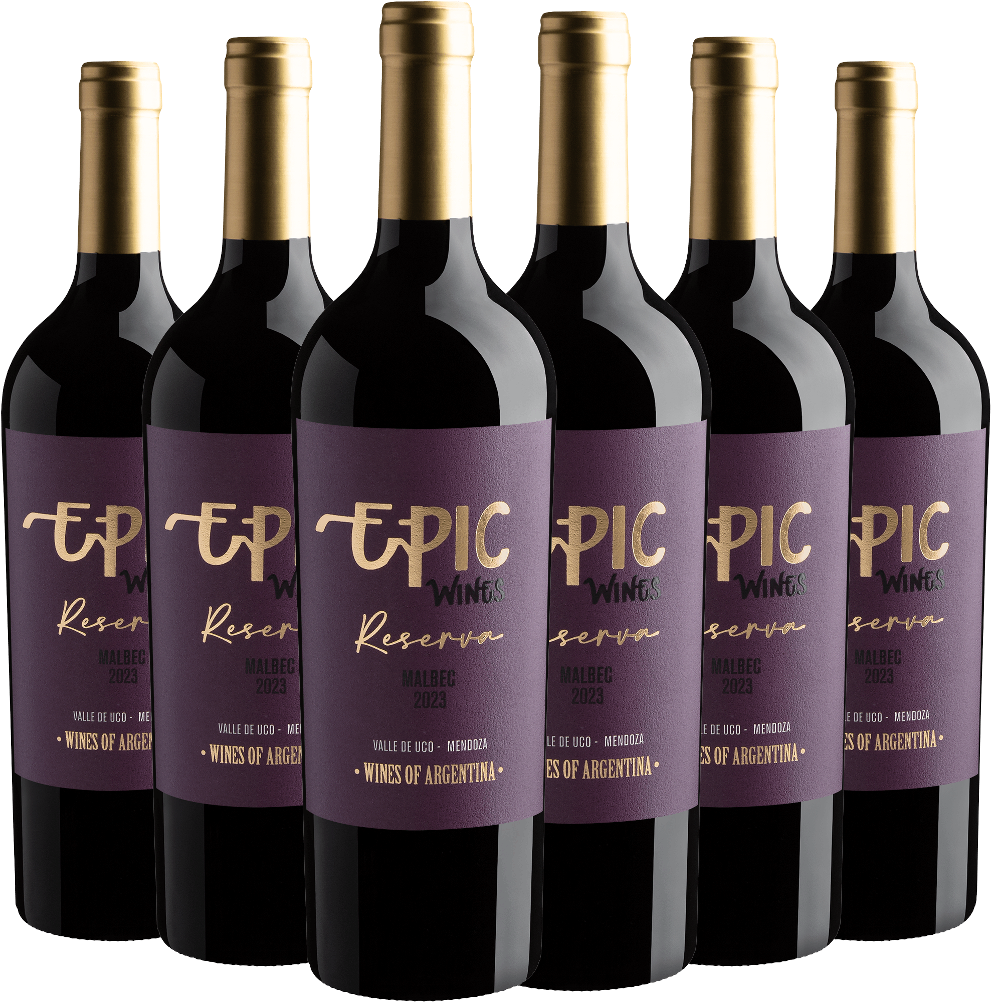 Kit 6 Epic Wines Malbec Reserva por R$39,90 cada garrafa