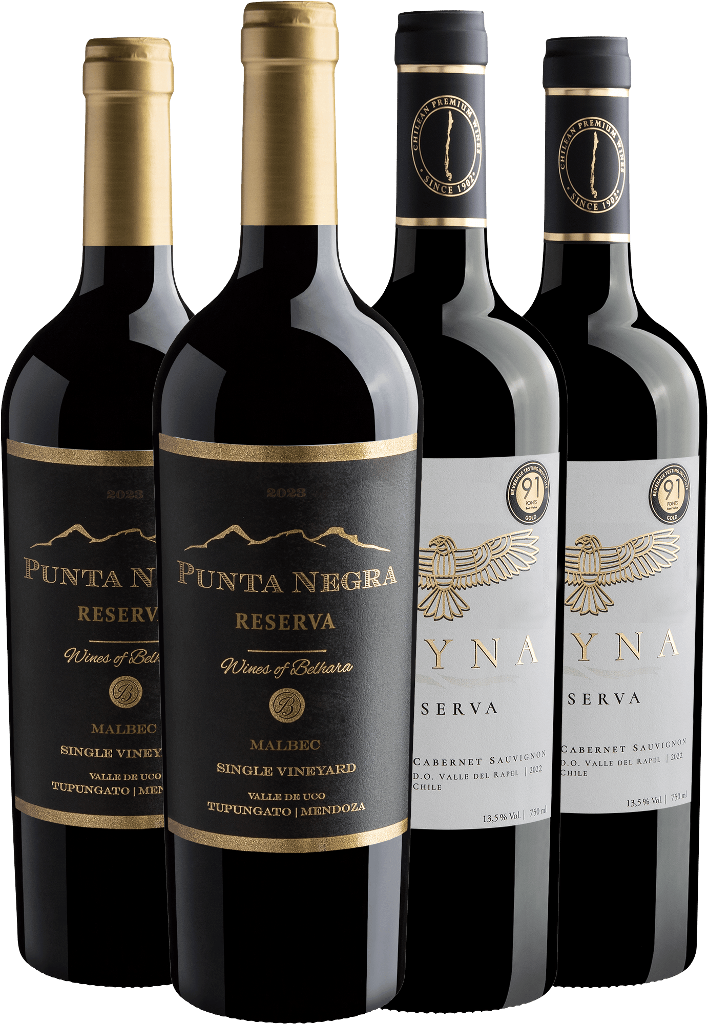 Kit 4 Vinhos Reservas 91+ pontos do Novo Mundo