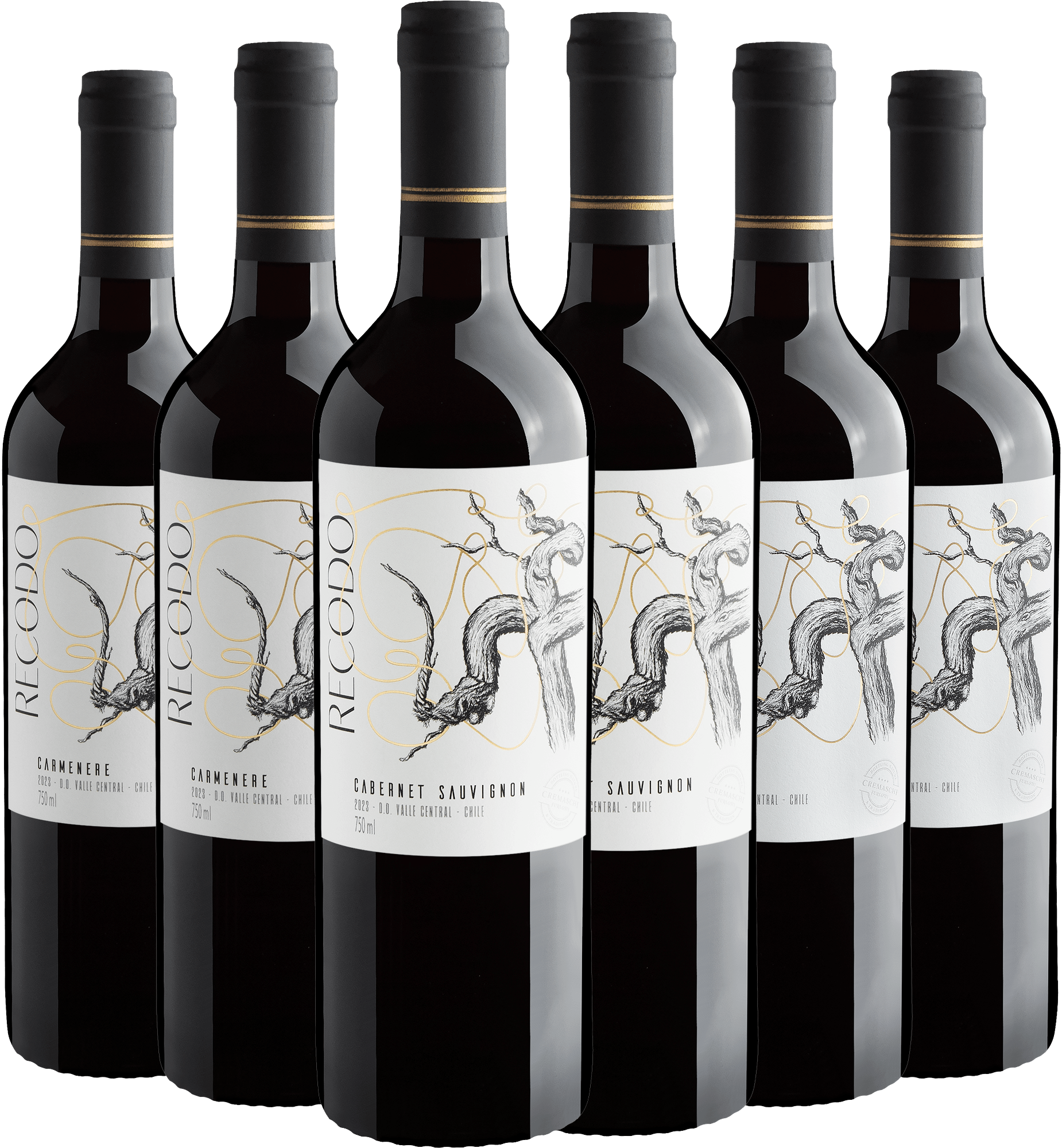 Kit Linha Recodo | 6 garrafas por R$29,90 cada