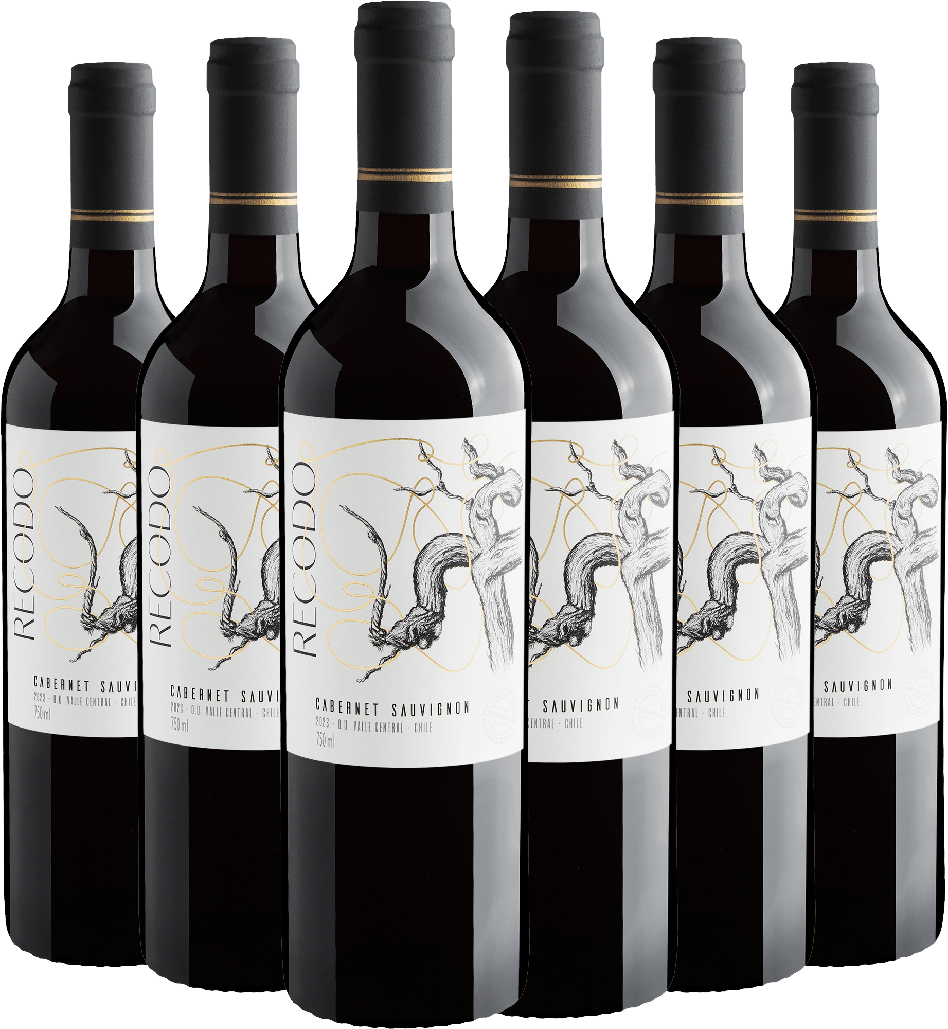 Kit 6 Recodo Cabernet Sauvignon Valle Central D.O.