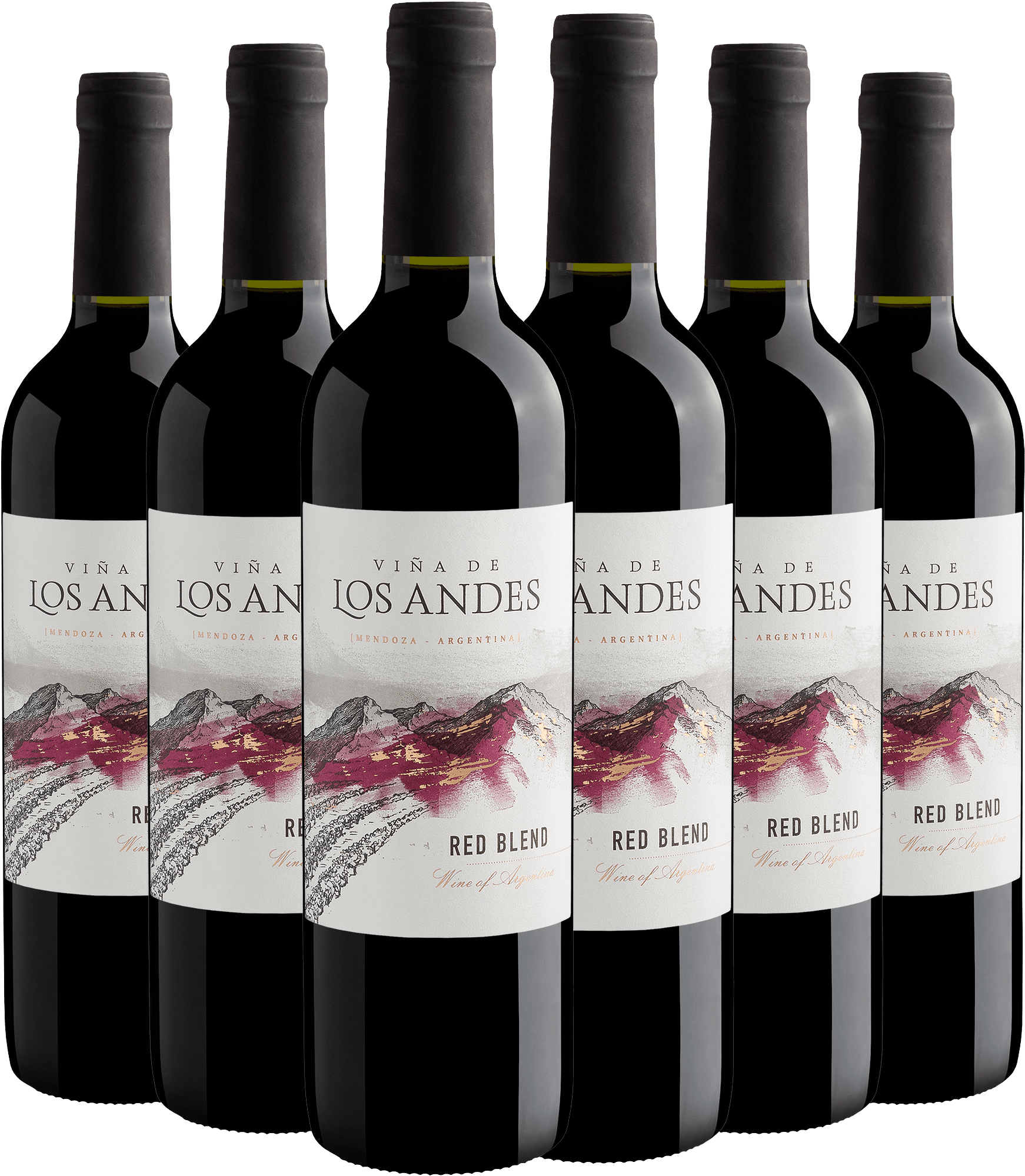 Kit 6 Viña de Los Andes Red Blend