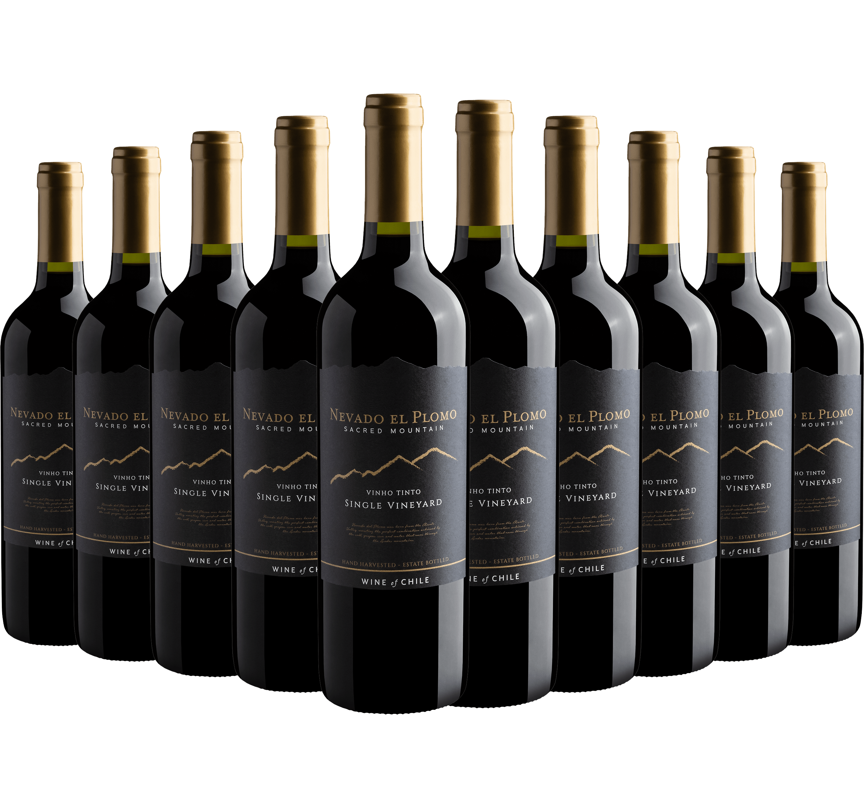 Kit 10 Nevado El Plomo Sacred Mountain Single Vineyard Tinto*