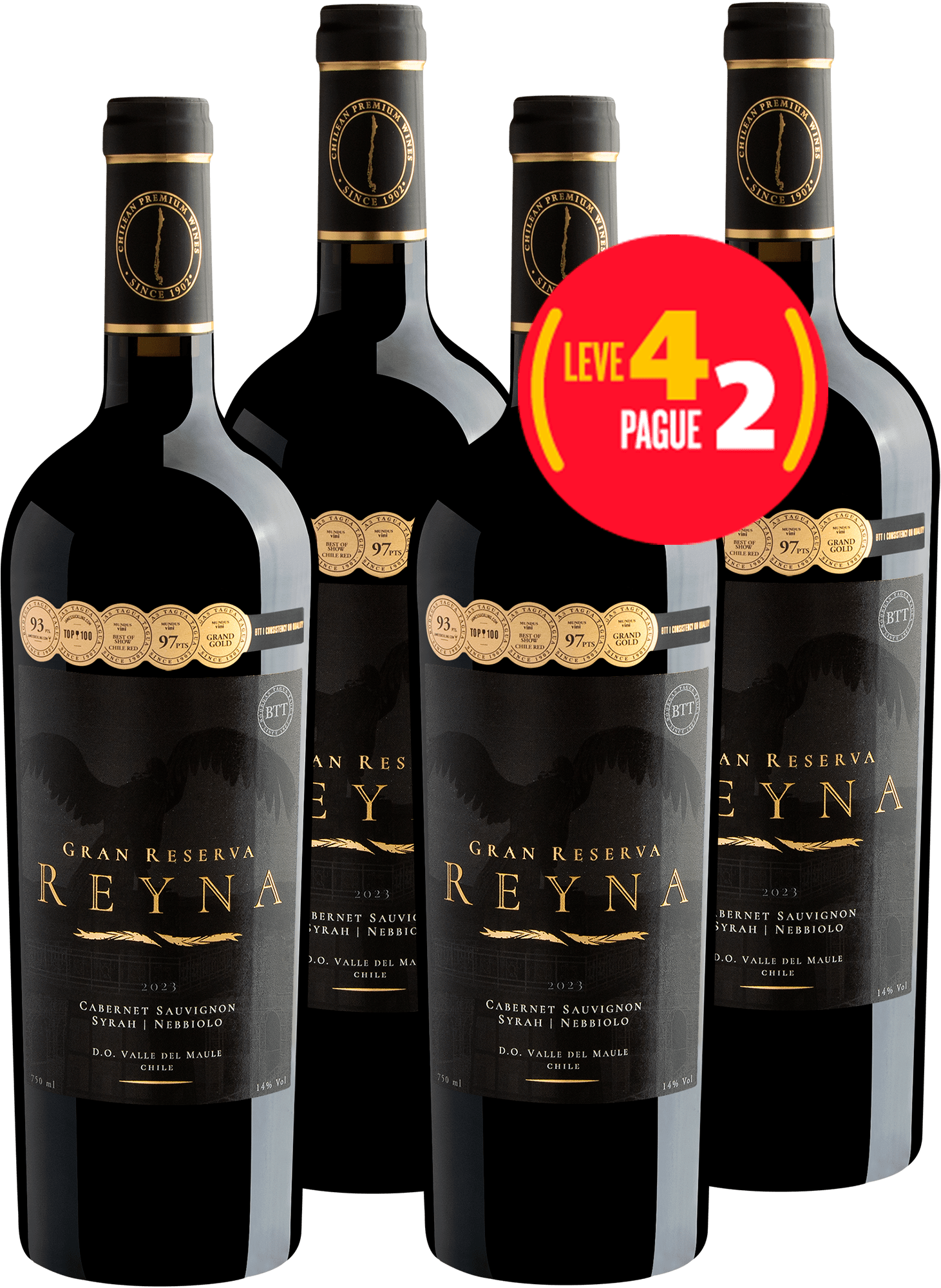 Kit Leve 4 Pague 2 Reyna Gran Reserva Cabernet Sauvignon - Syrah - Nebbiolo Valle del Maule D.O.