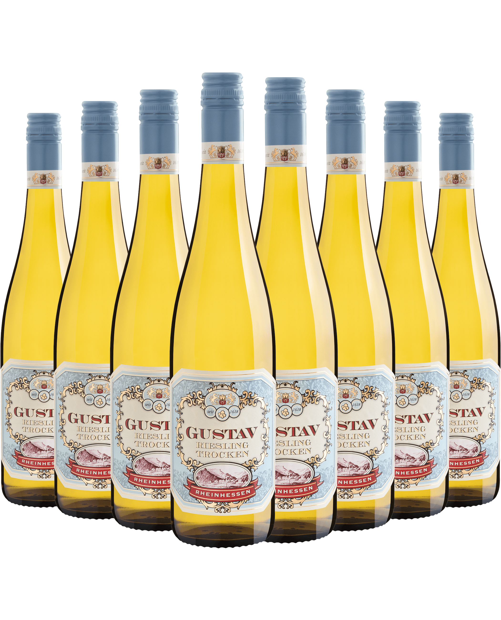 Kit 8 Gustav Riesling Trocken Rheinhessen