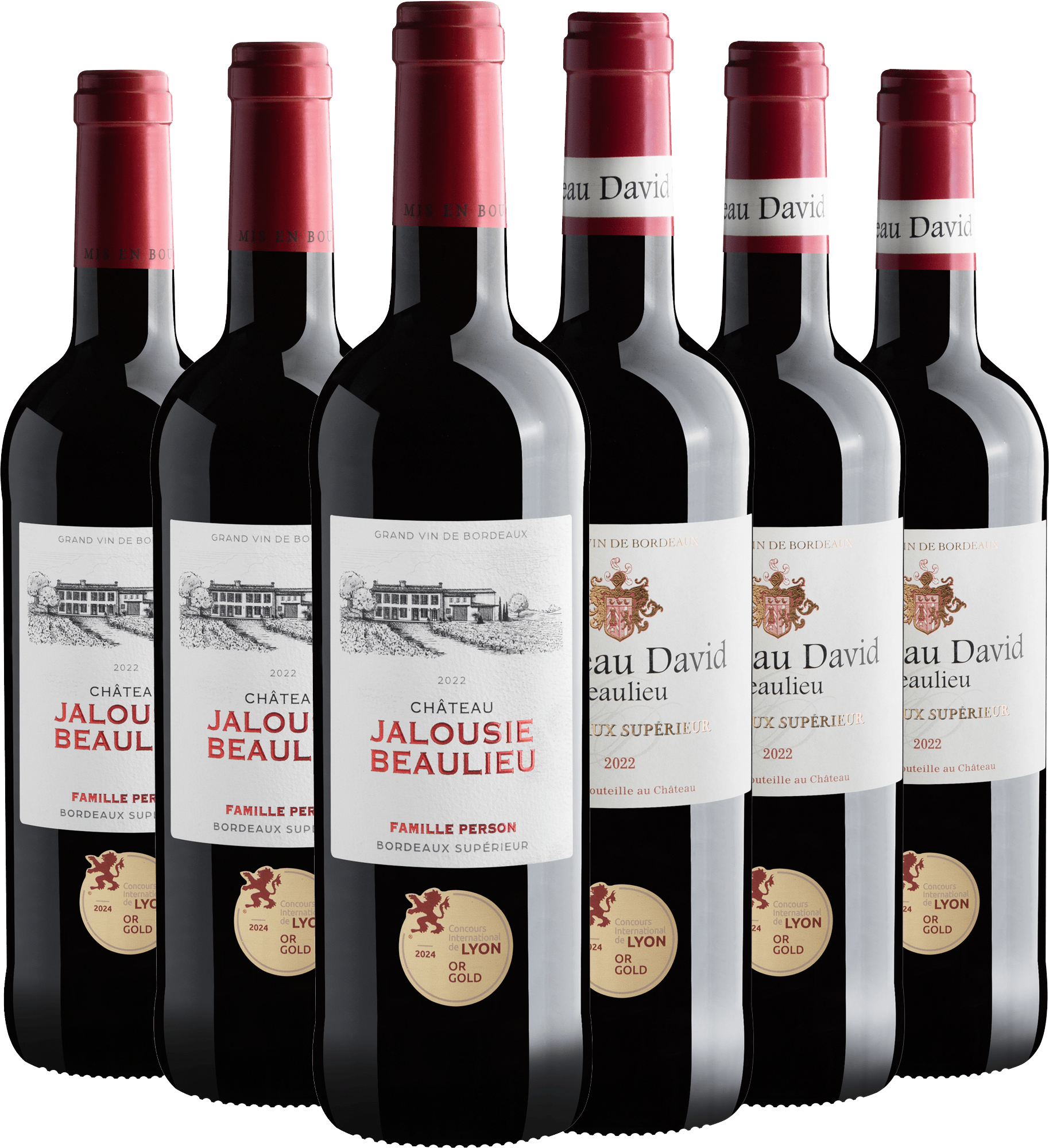 Kit 6 Bordeaux Supérieur por R$79,90 cada garrafa