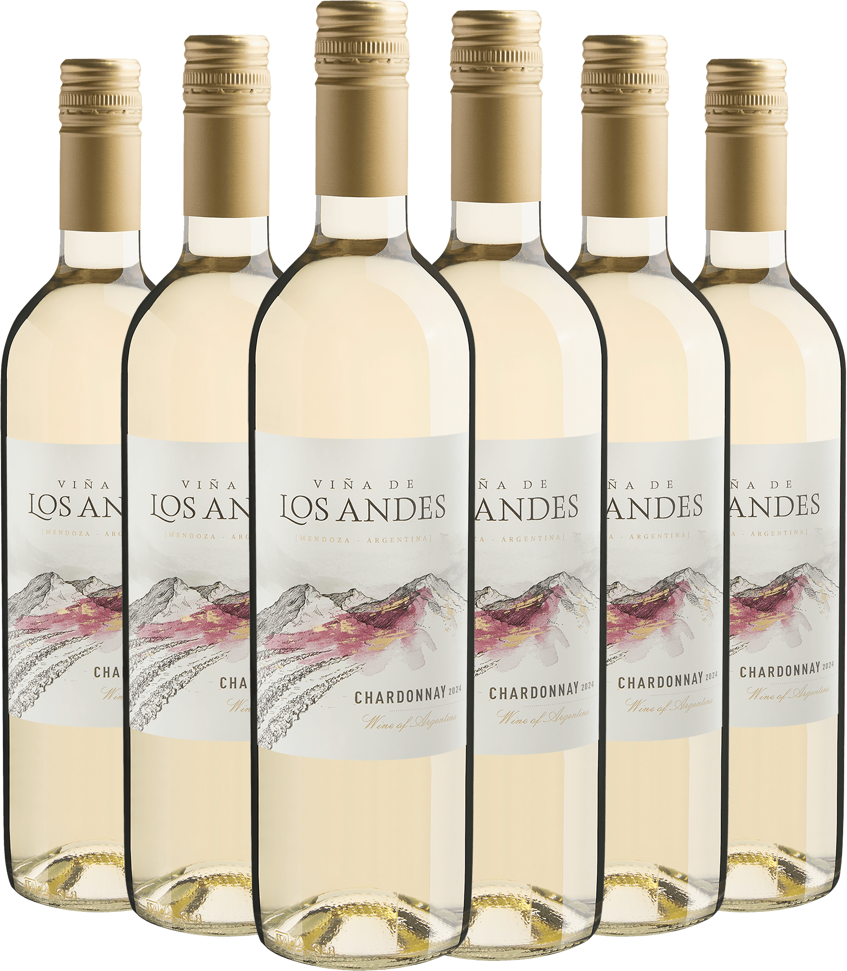 Kit 6 Viña de Los Andes Chardonnay por R$27,90 cada garrafa*