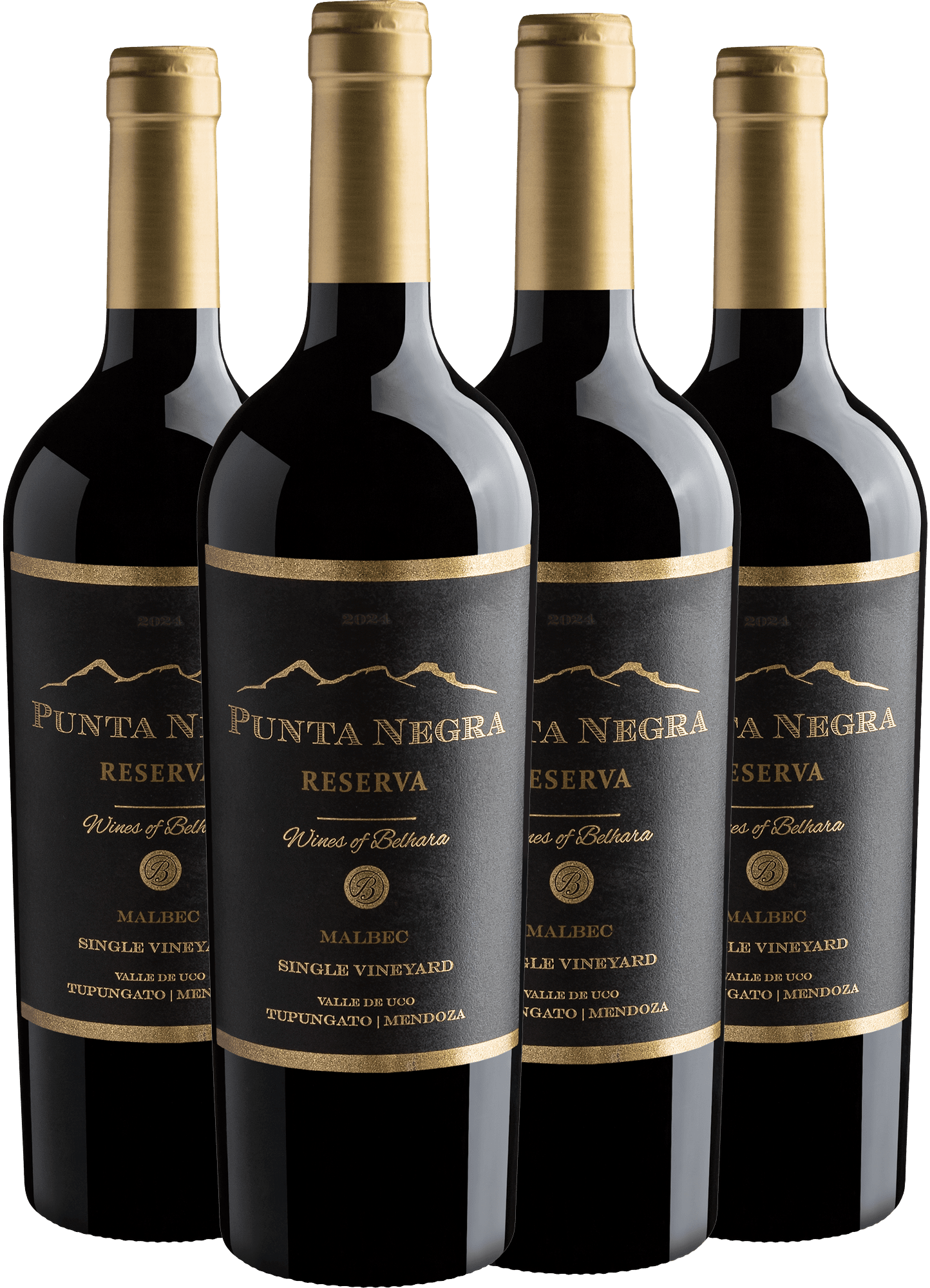 Kit 4 Punta Negra Reserva Malbec Single Vineyard por R$64,90 cada garrafa