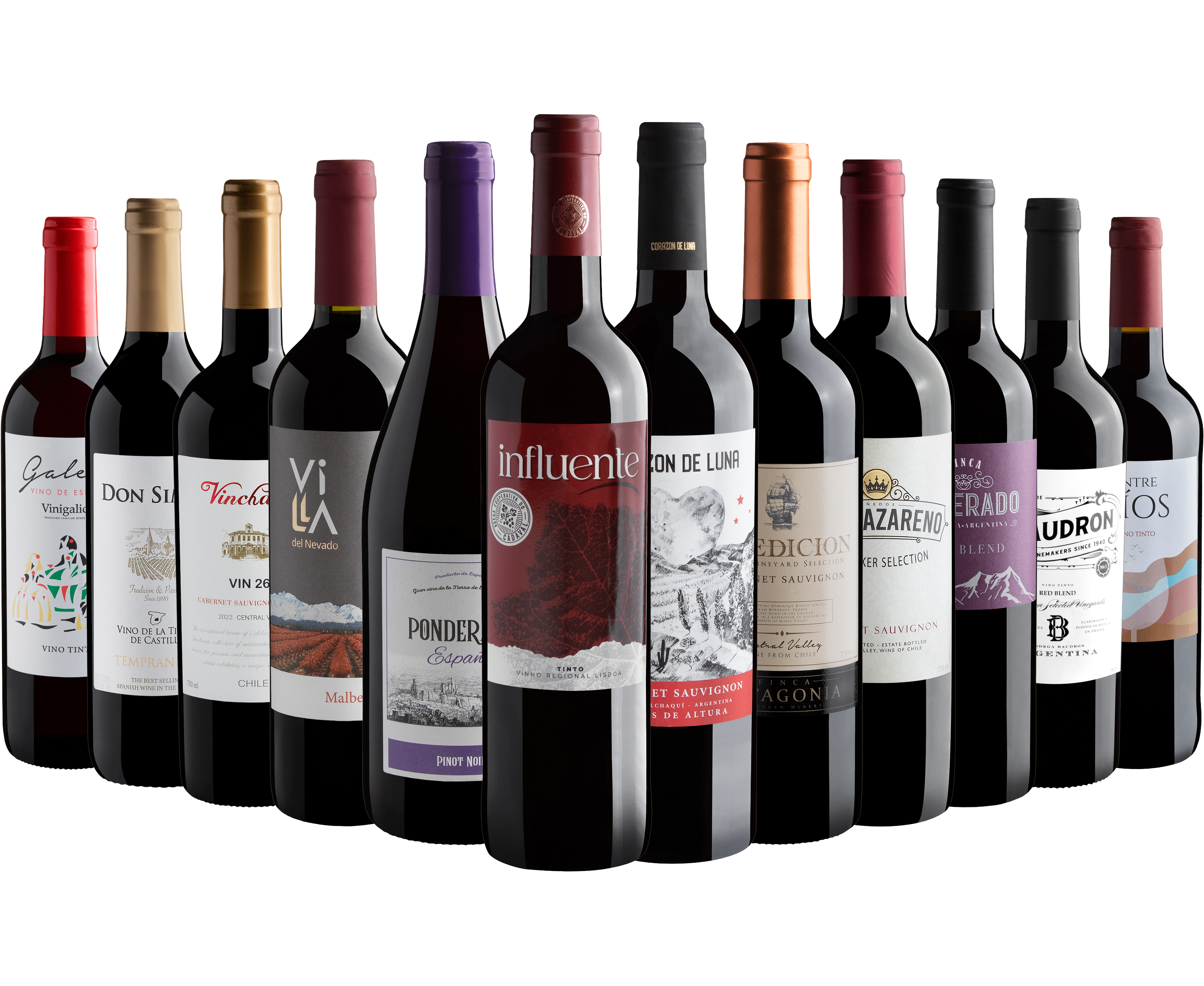Kit 12 Vinhos Tintos Best Sellers por R$26,90 cada garrafa + Frete Grátis*