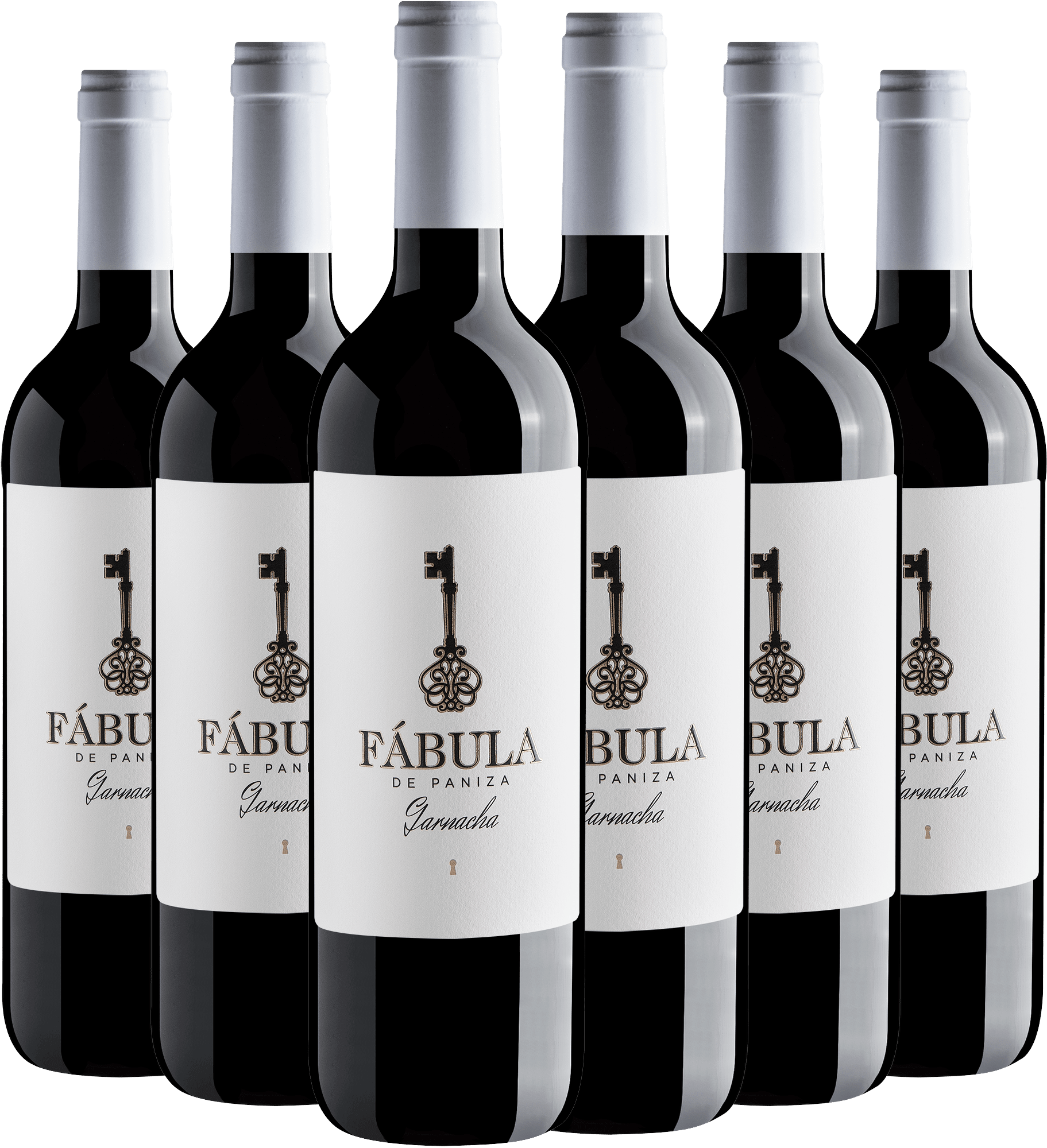 Kit 6 Fábula de Paniza Garnacha Cariñena DOP