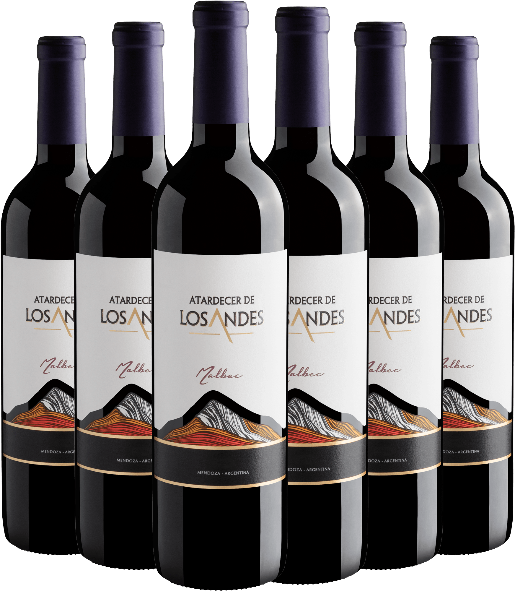 Kit 6 Atardecer De Los Andes Malbec