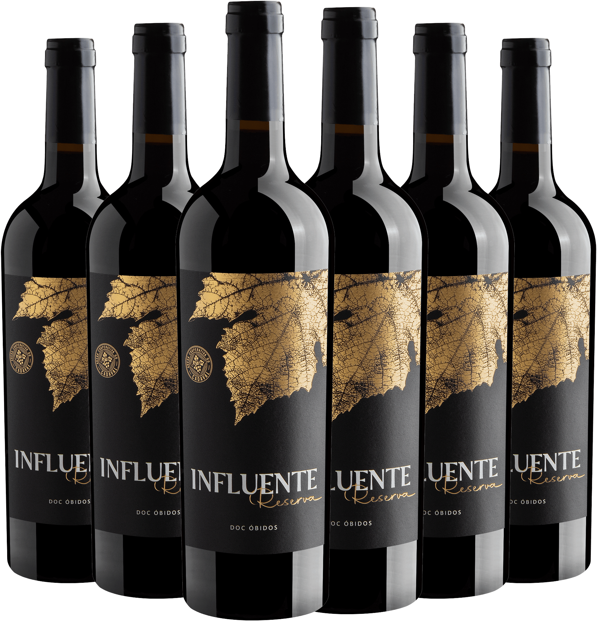 Kit 6 Influente Reserva Tinto Óbidos DOC
