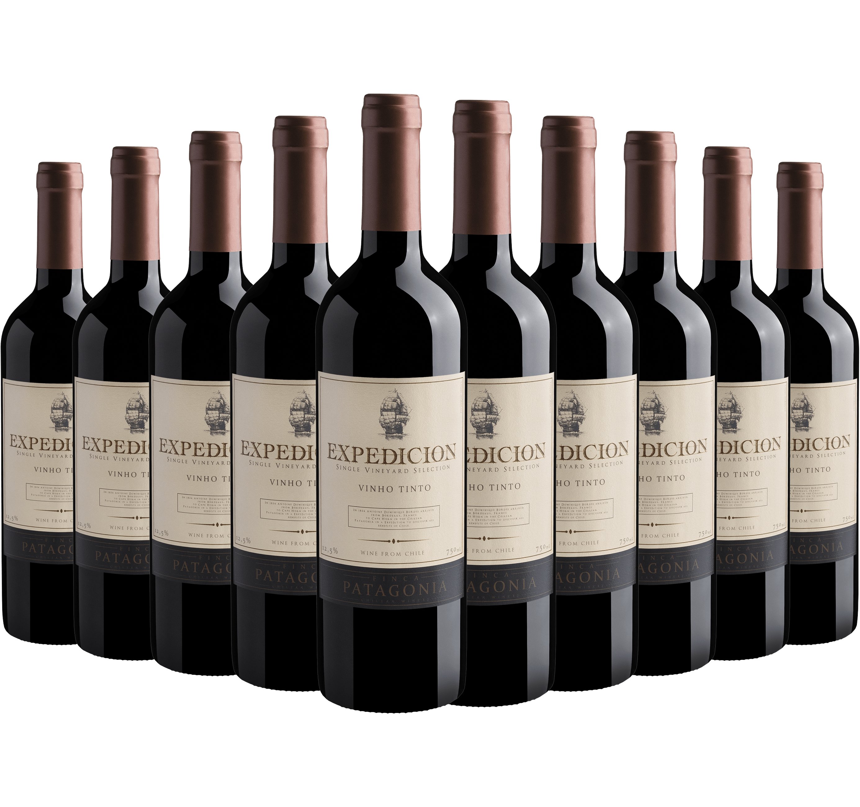 Kit 10 Finca Patagonia Expedicion Vinho Tinto*
