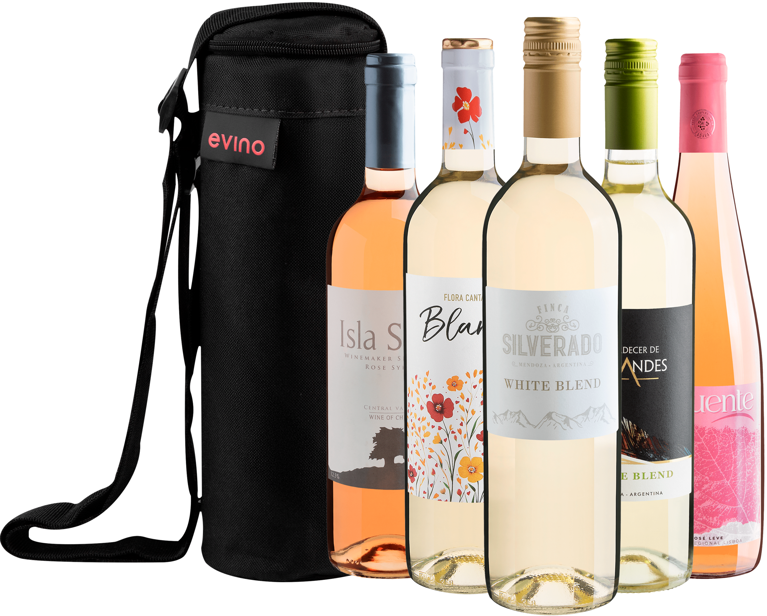 Kit 5 Vinhos Refrescantes + Bolsa Exclusiva Grátis*