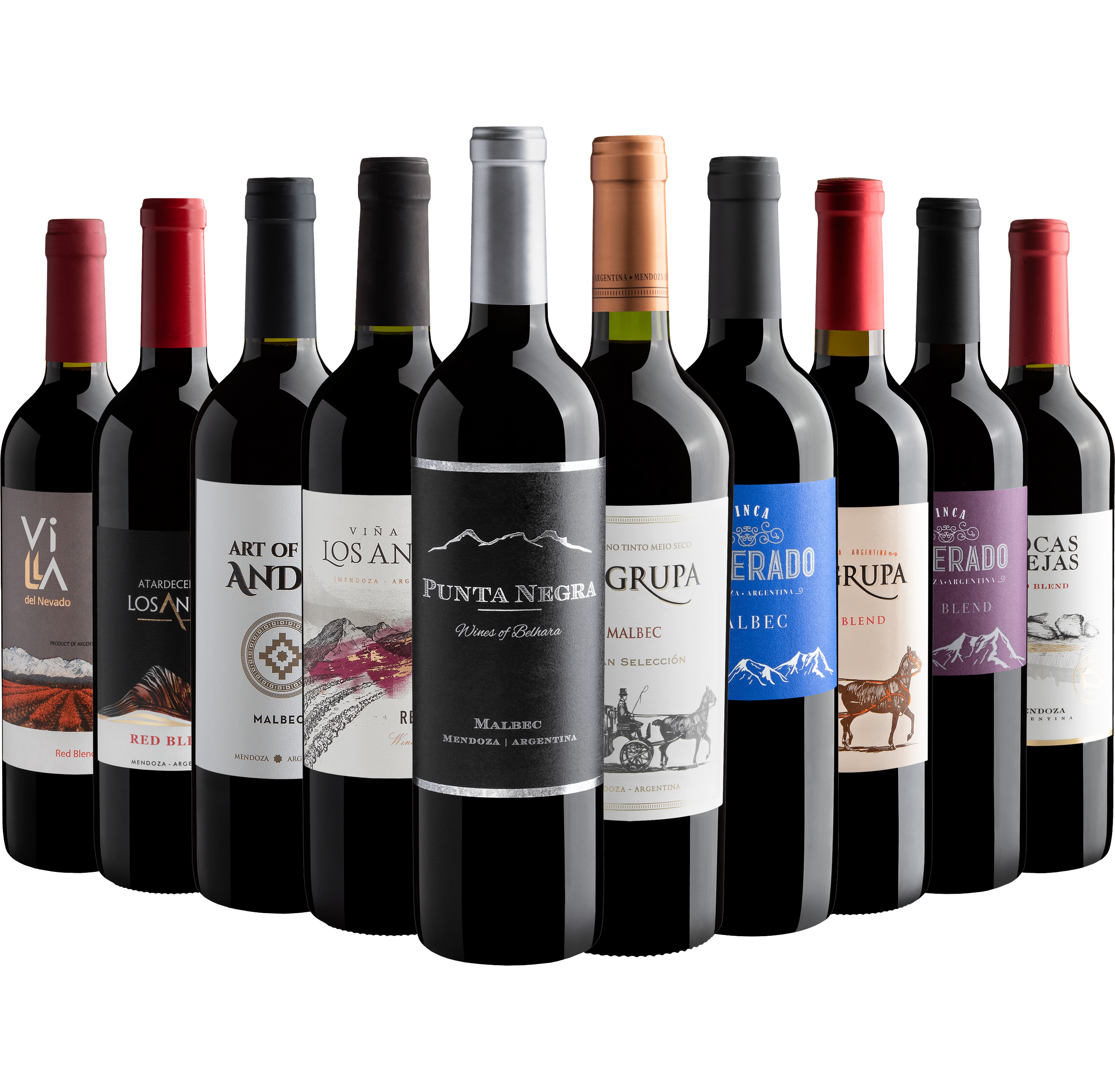 Kit 10 Vinhos Argentinos com Punta Negra