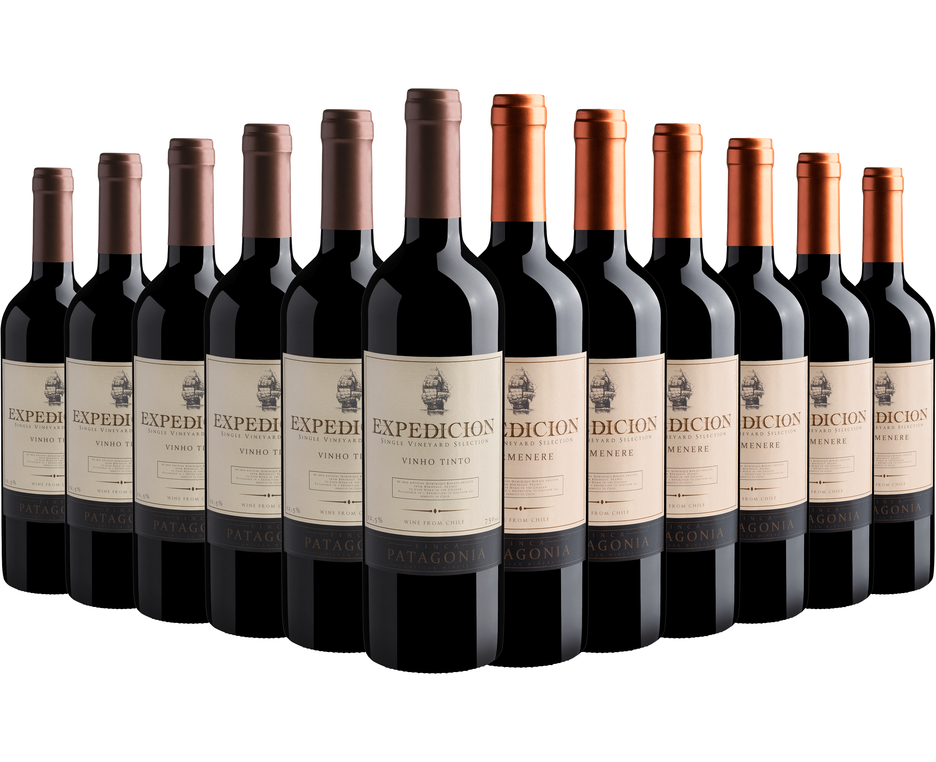 Kit Finca Patagonia Expedicion Single Vineyard Selection: 6 Blend + 6 Carménère*