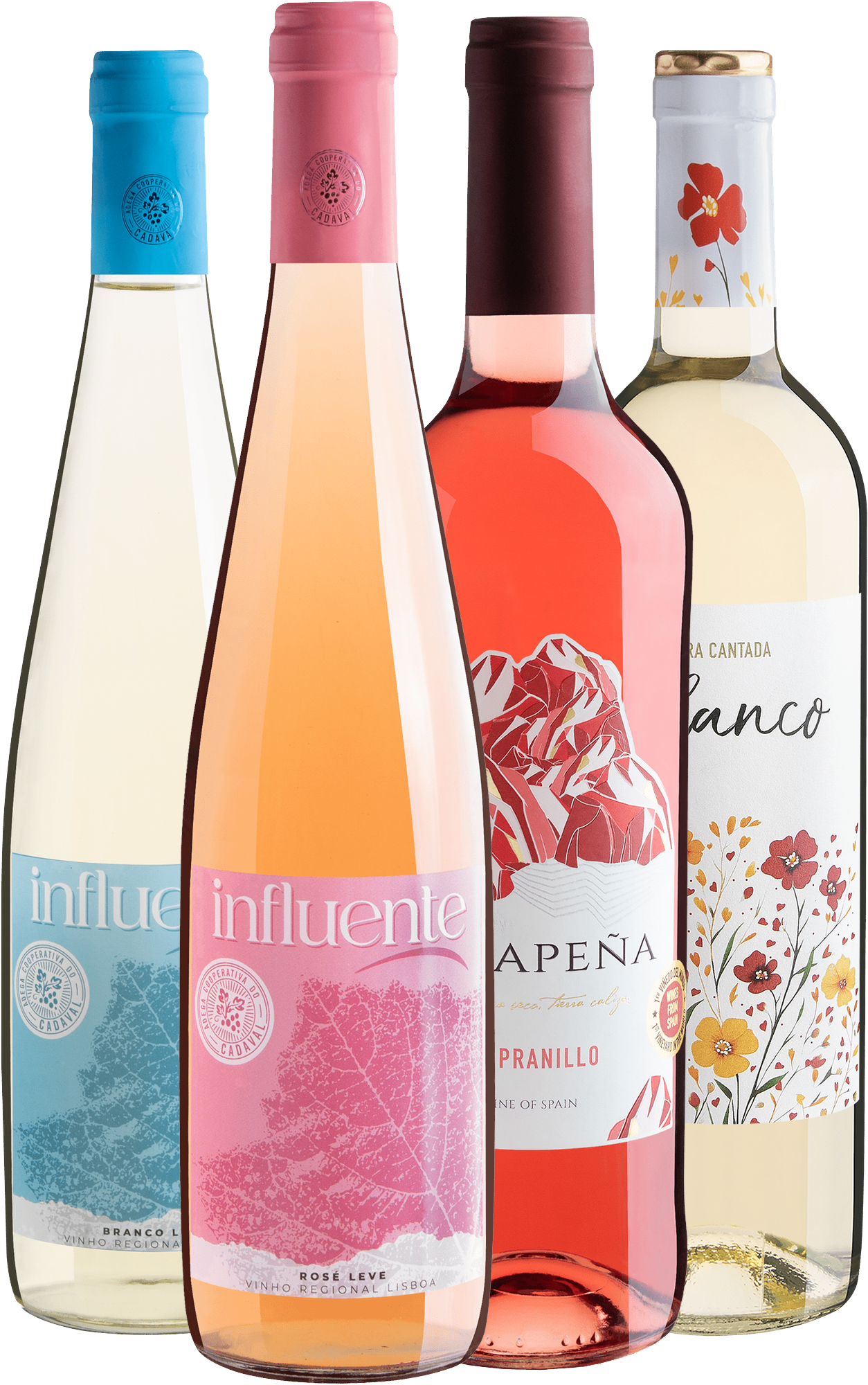 Kit 4 Vinhos Refrescantes do Velho Mundo