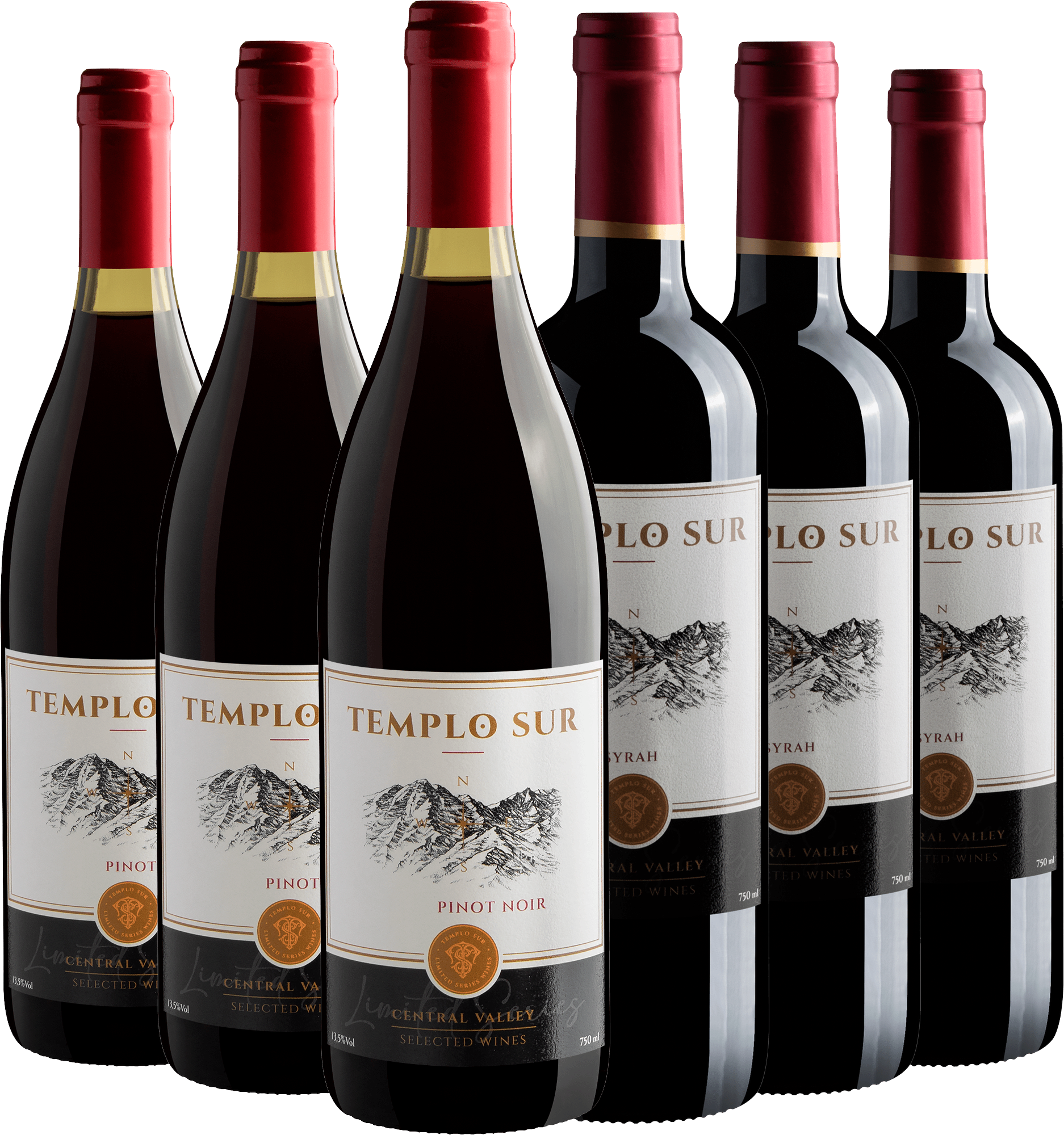 Kit Templo Sur: 3 Pinot Noir + 3 Syrah
