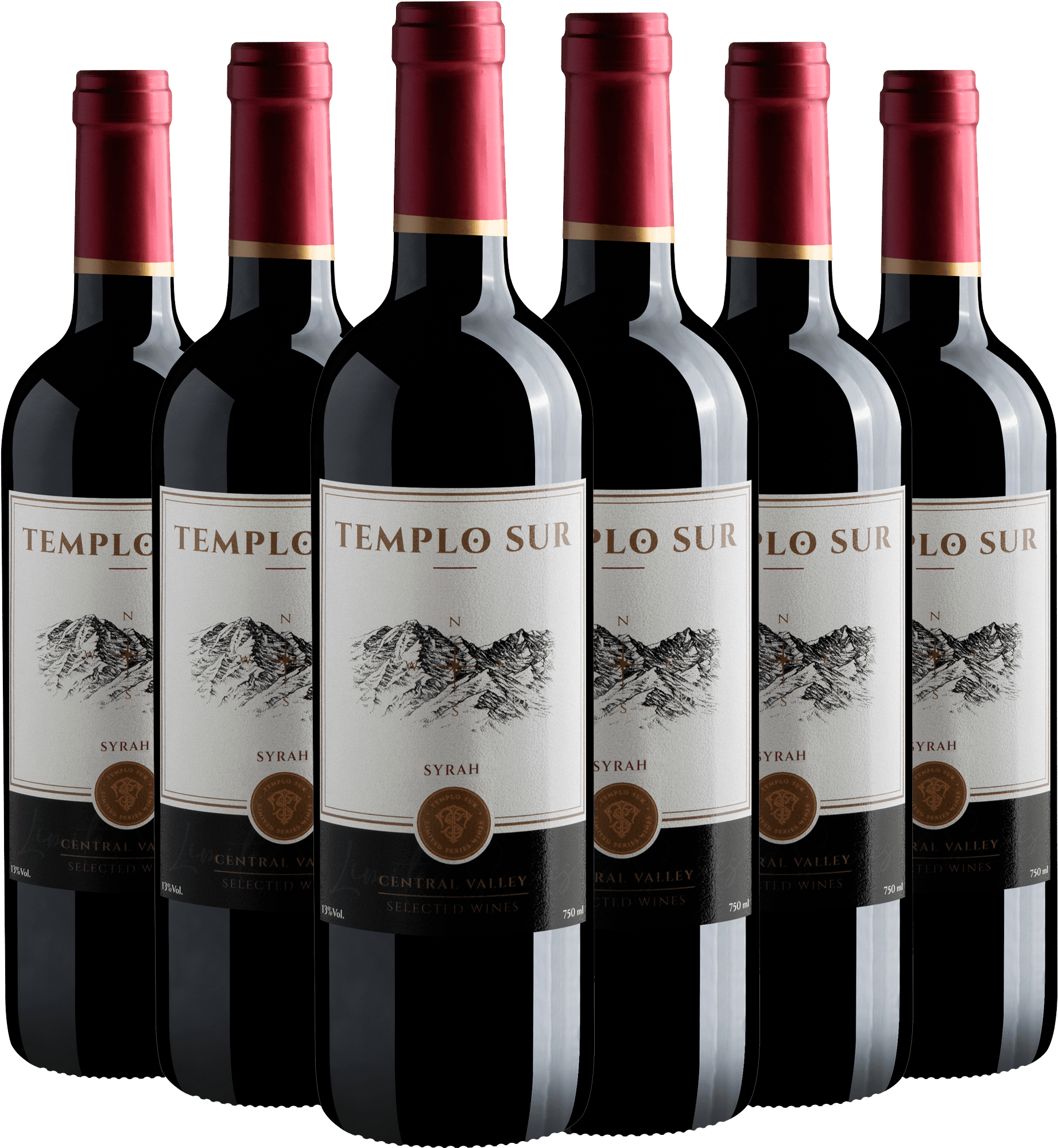 Kit 6 Templo Sur Syrah