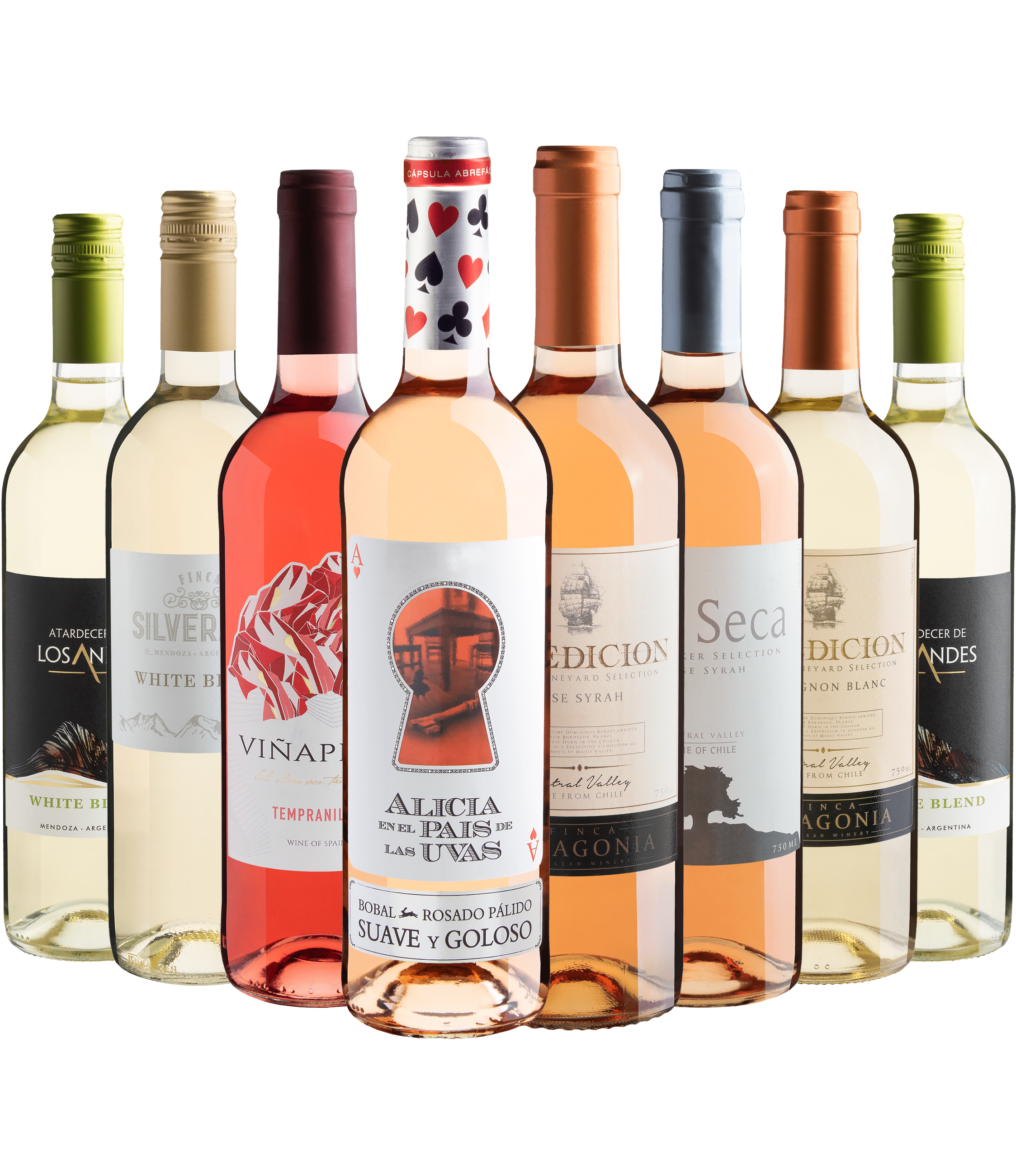 Kit 8 Vinhos Refrescantes com Alicia en el País de Las Uvas