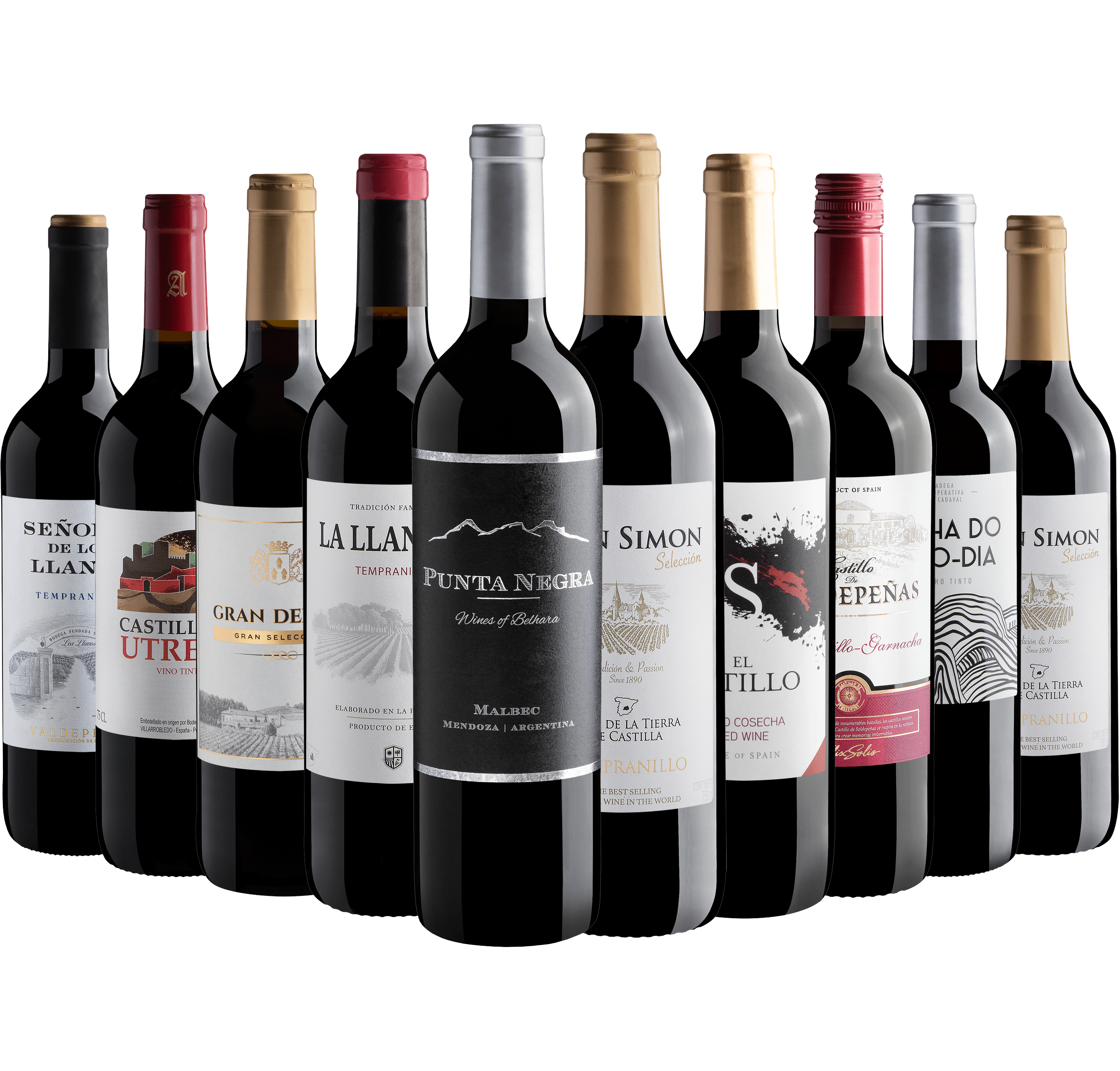 Kit 10 Vinhos Tintos com Punta Negra