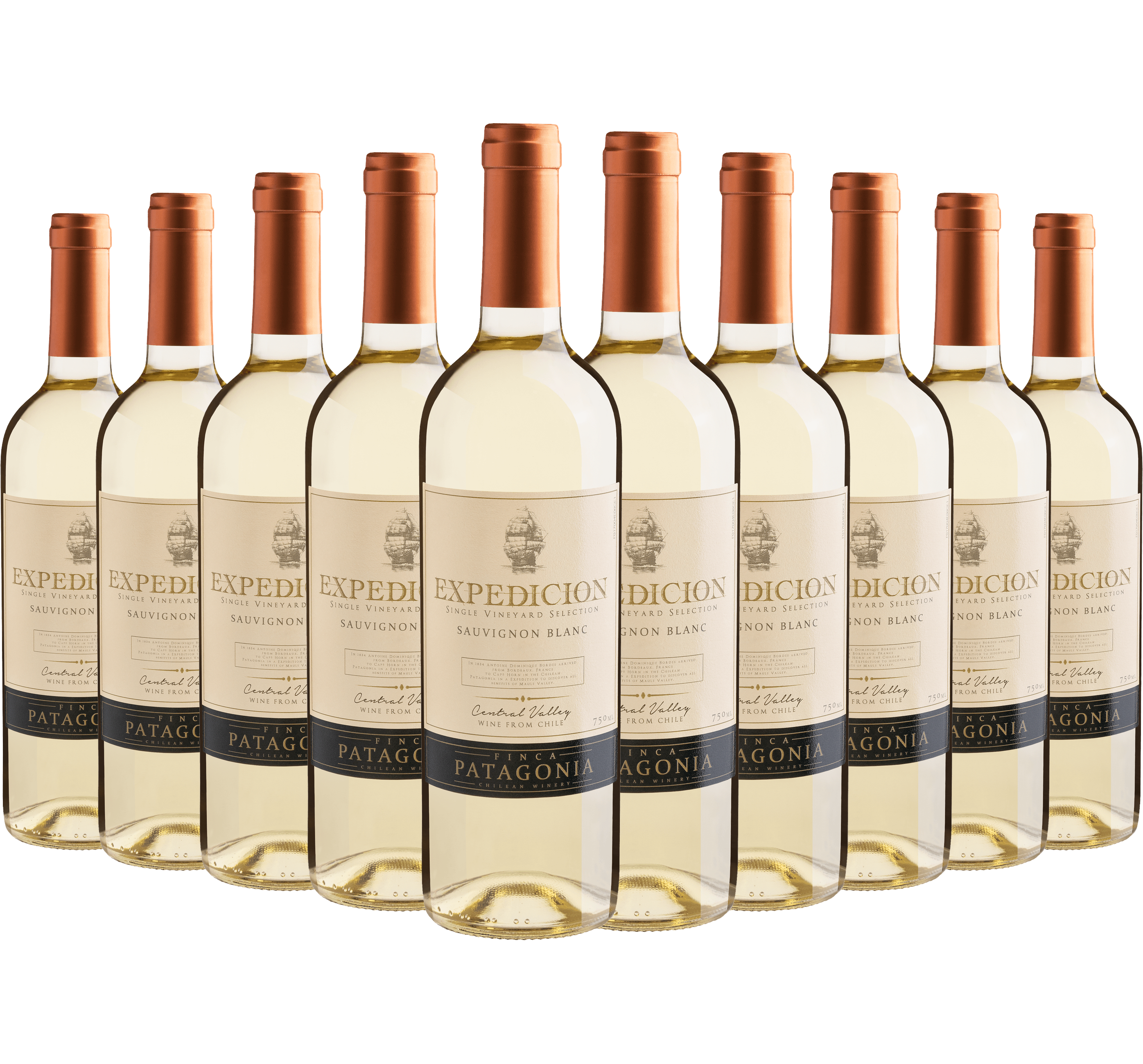 Kit 10 Finca Patagonia Expedicion Sauvignon Blanc